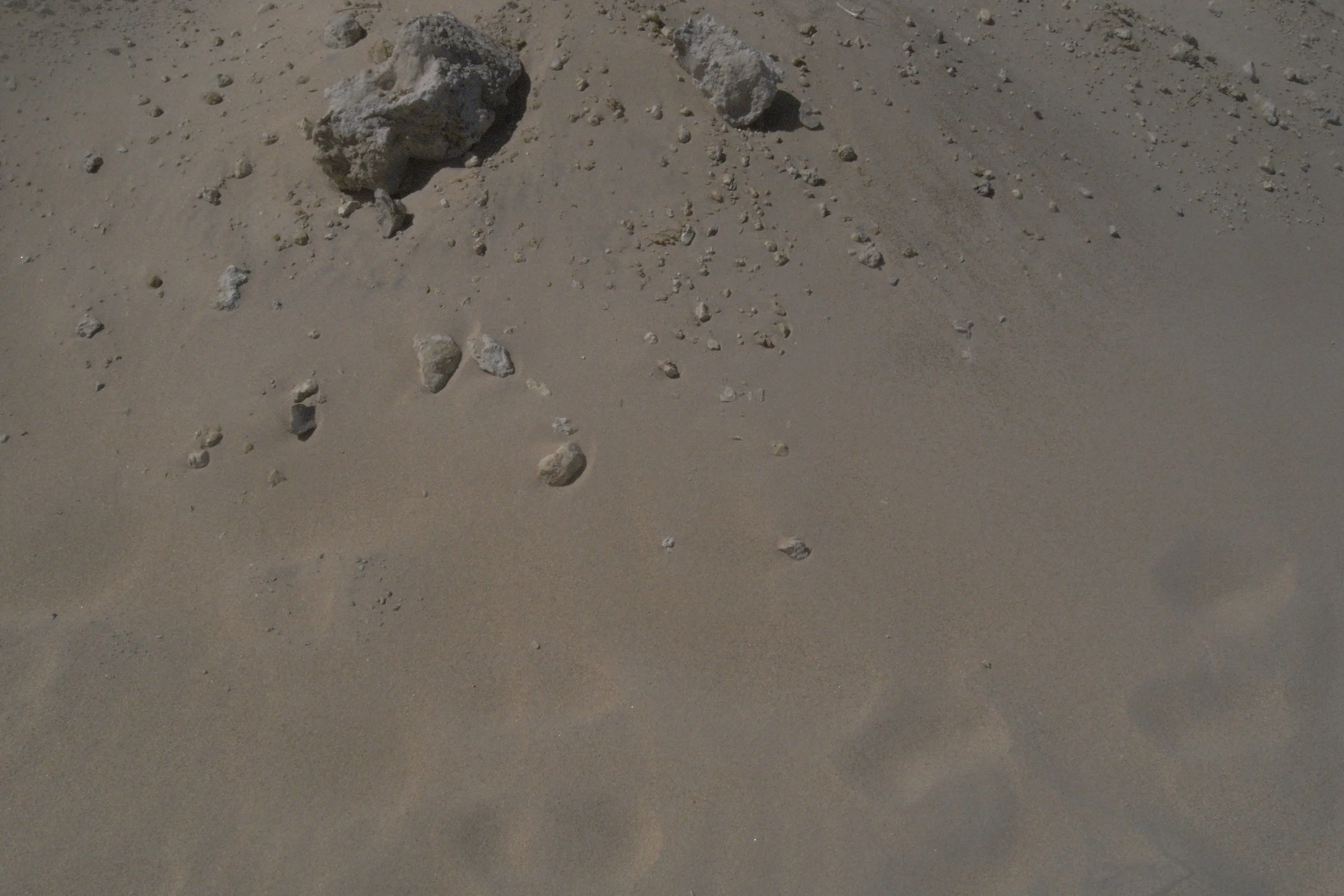 R0037005.JPG