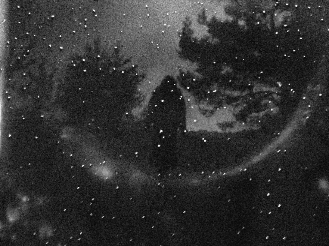 "CARA FORESTA" by Guido Gazzilli