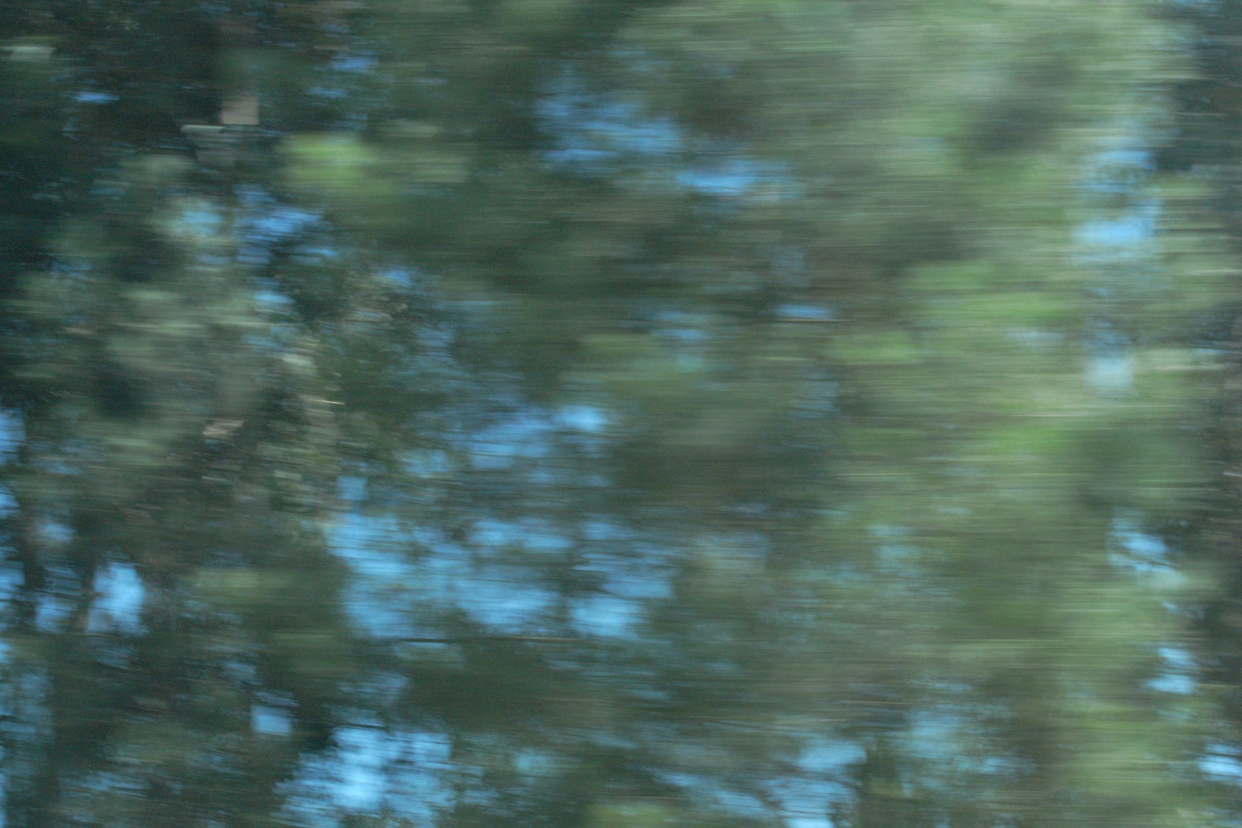 R0037073.JPG