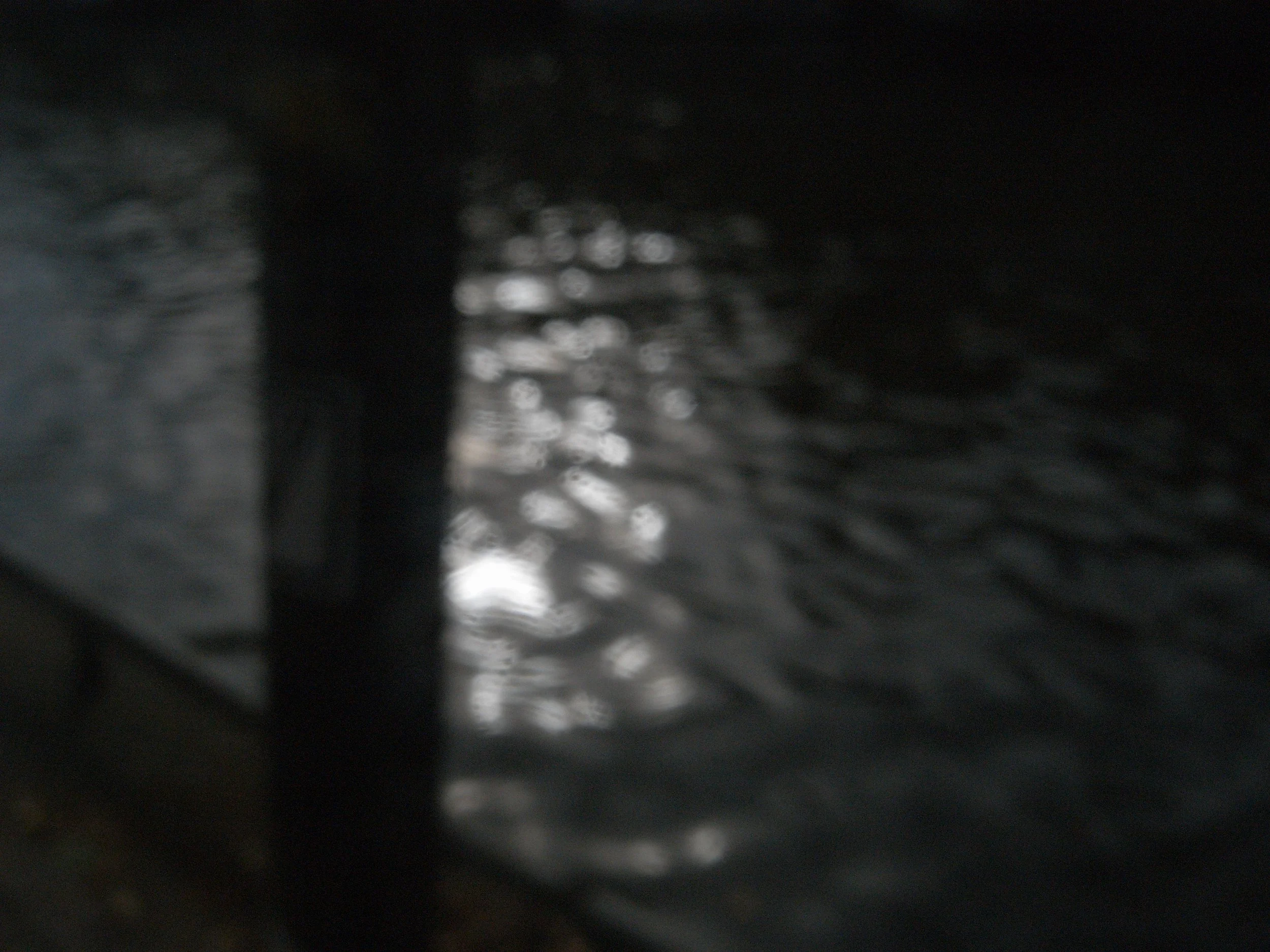 R0039116.JPG