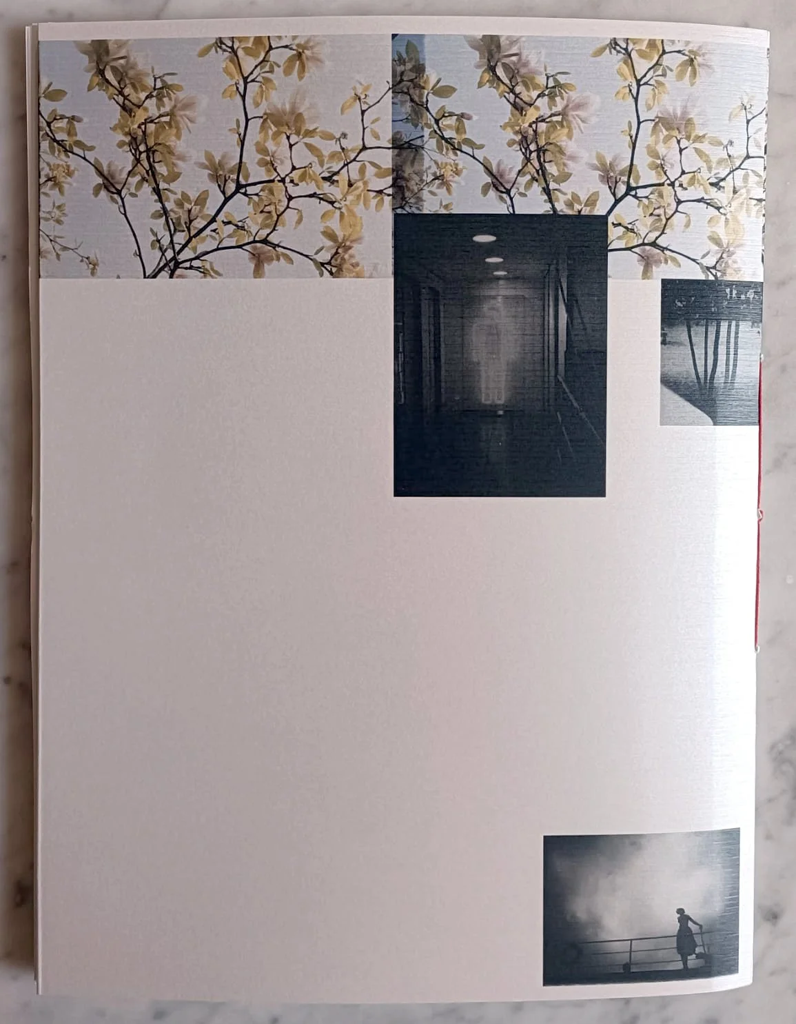 QUARTA COPERTINA.jpeg