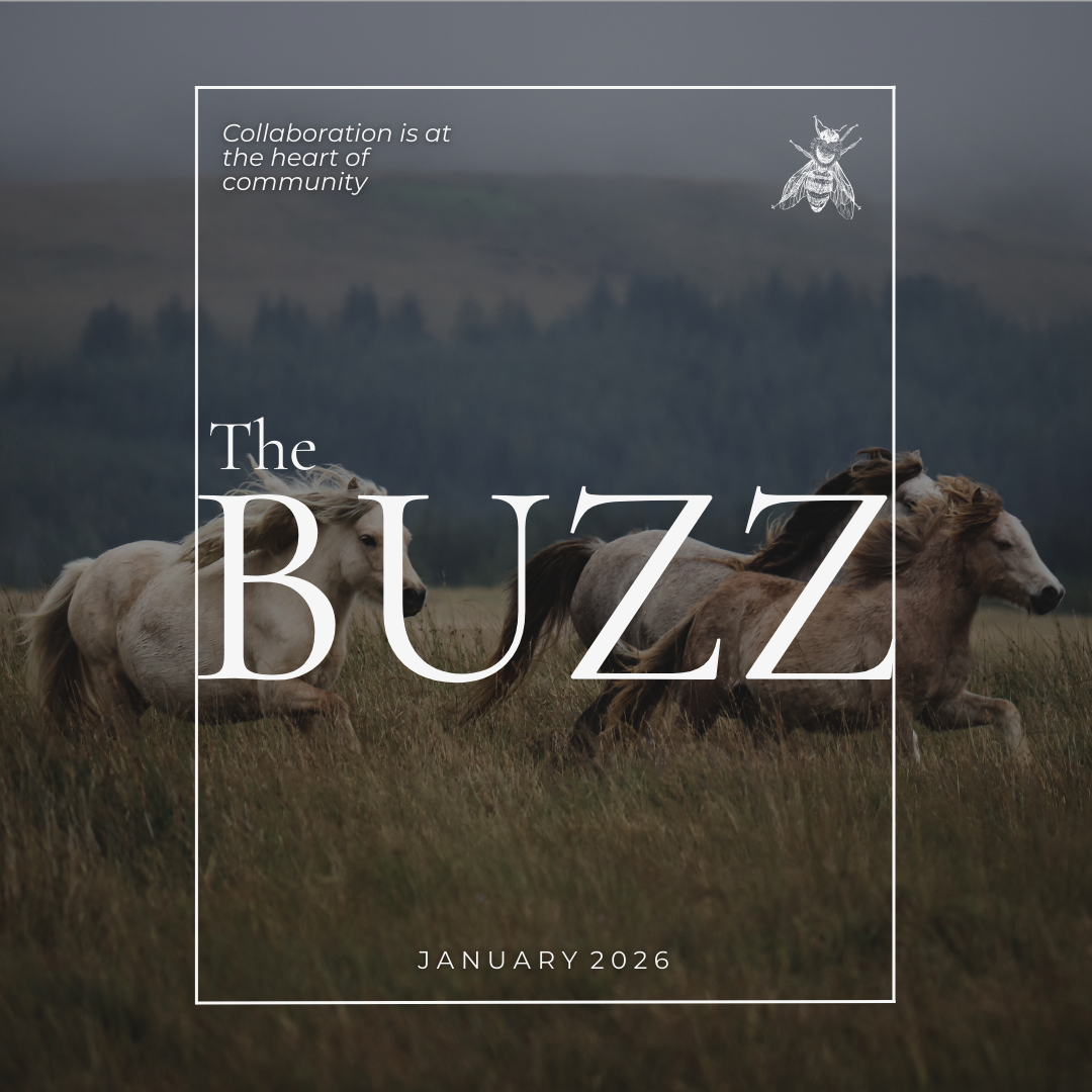 The Buzz: January 2026