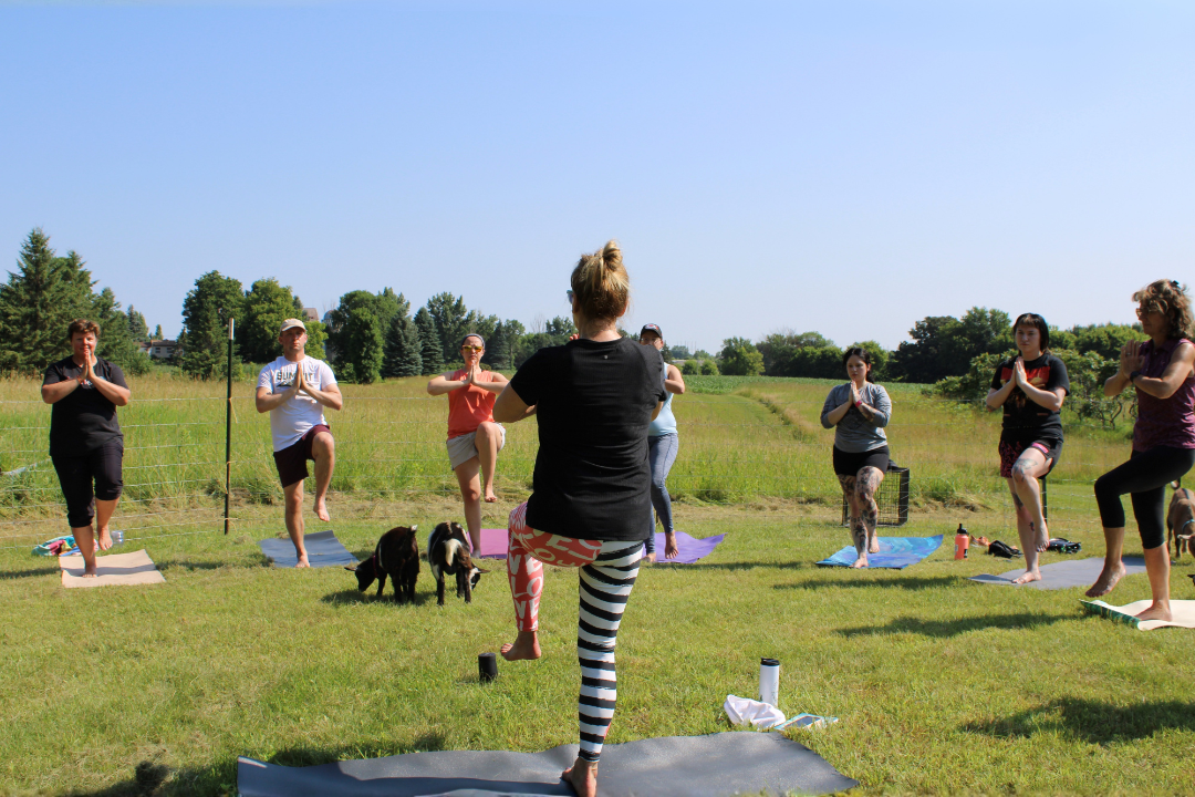 July Goat Yoga