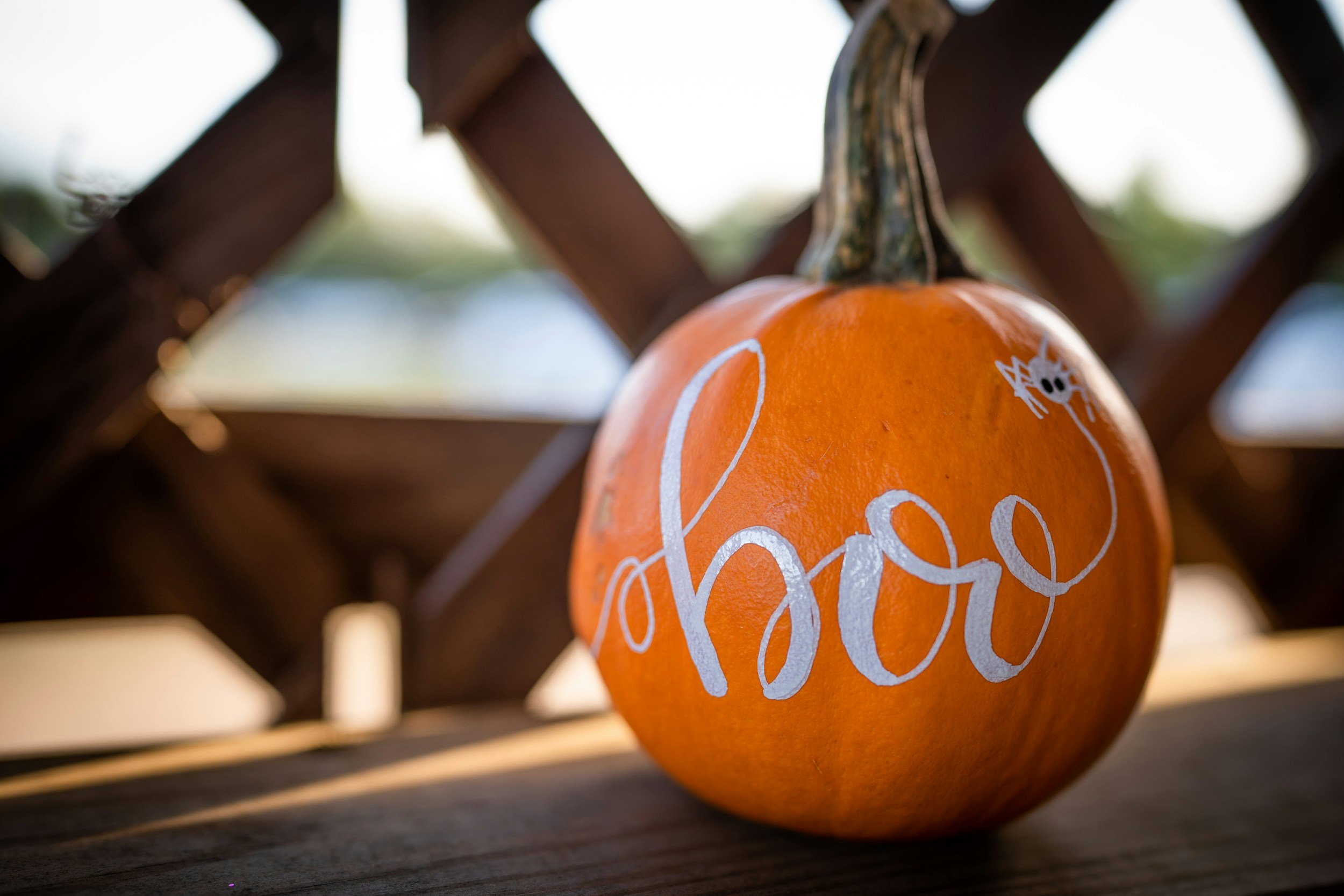 Pumpkin Pick &amp; Paint - Orono Community Ed