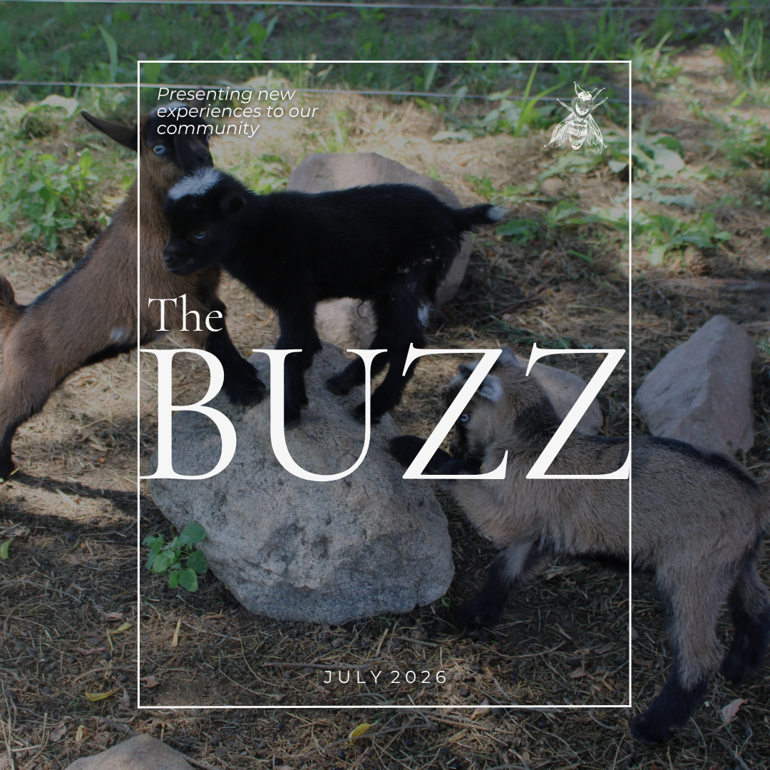 The Buzz: July 2026