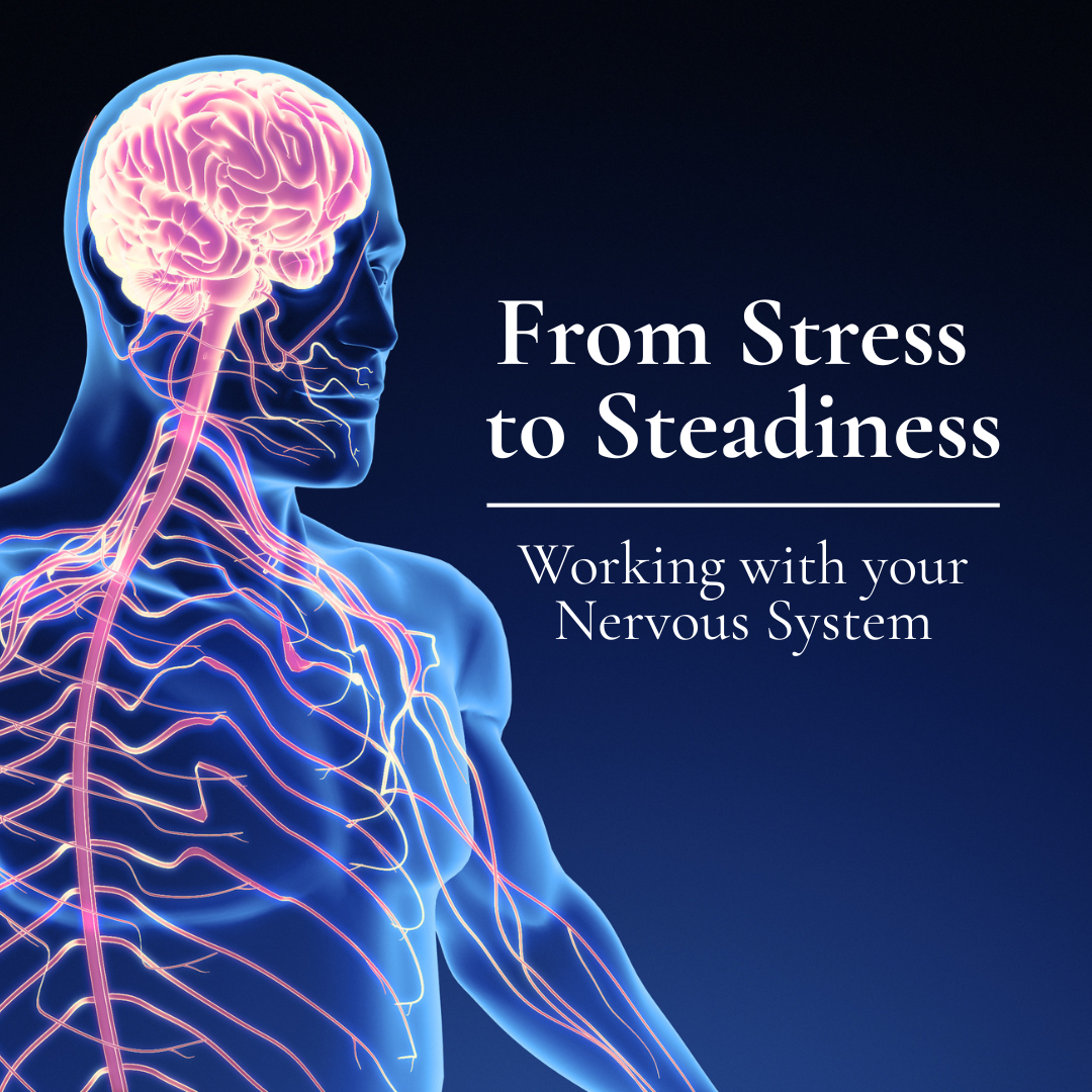 Nervous System.png