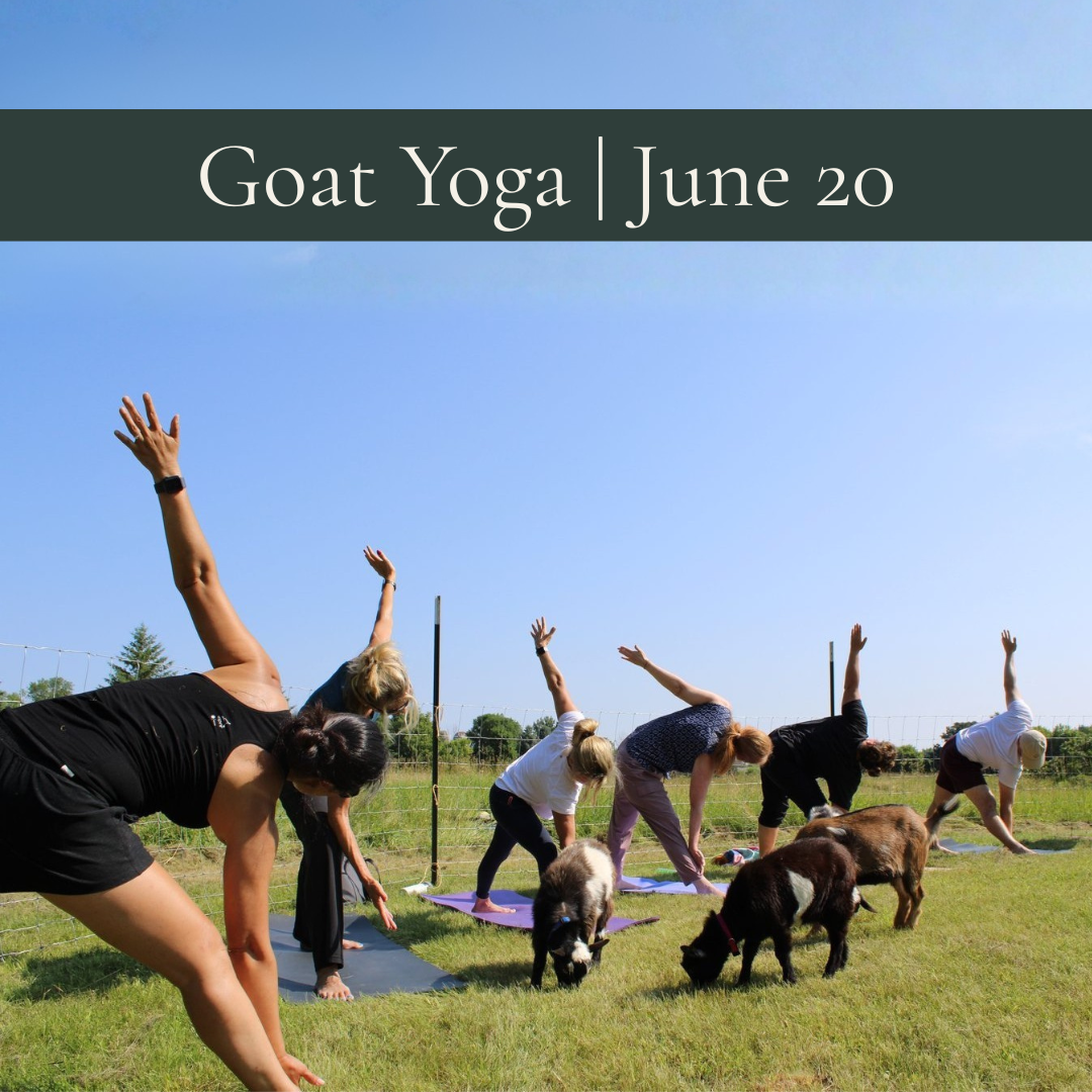 June Goat Yoga