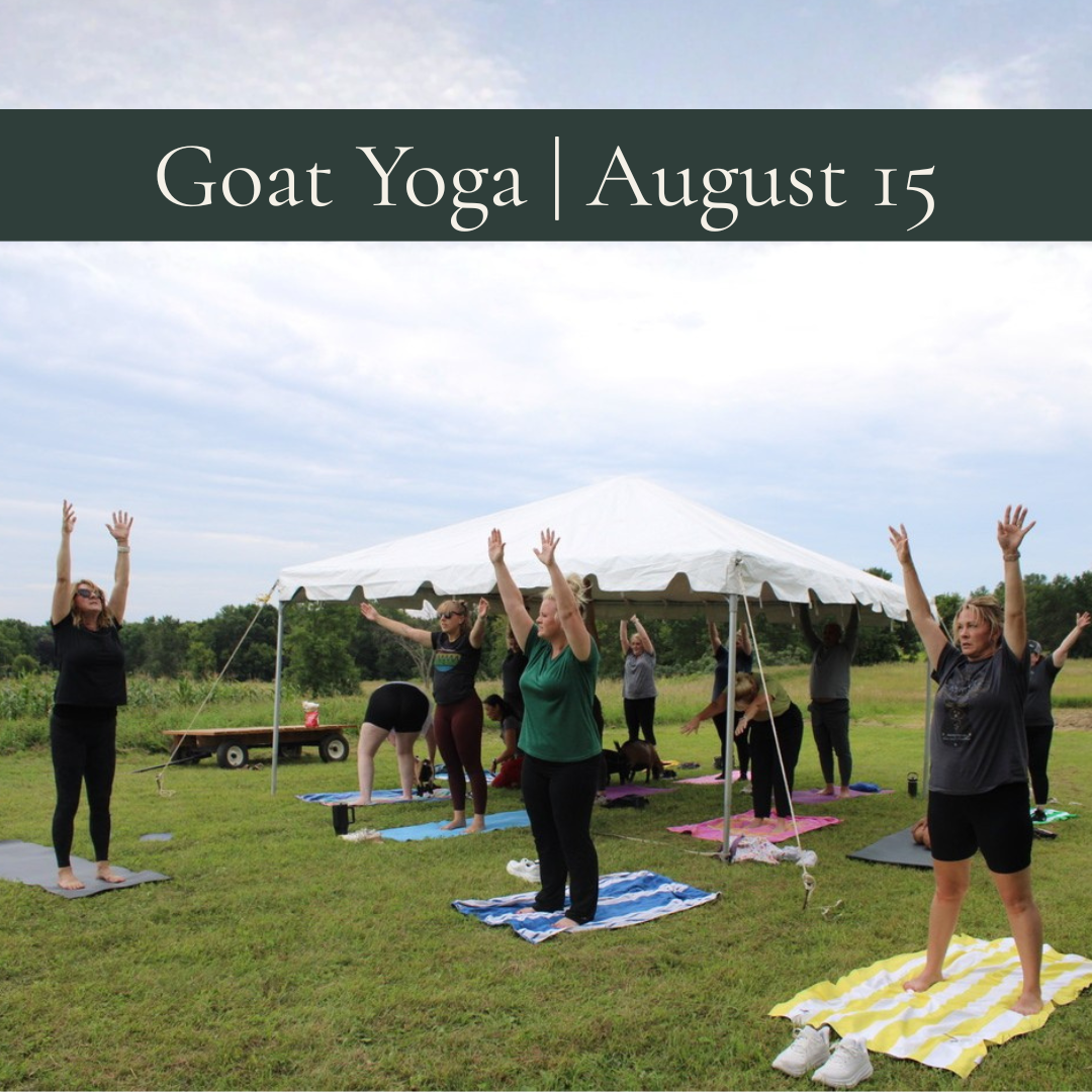 August Goat Yoga