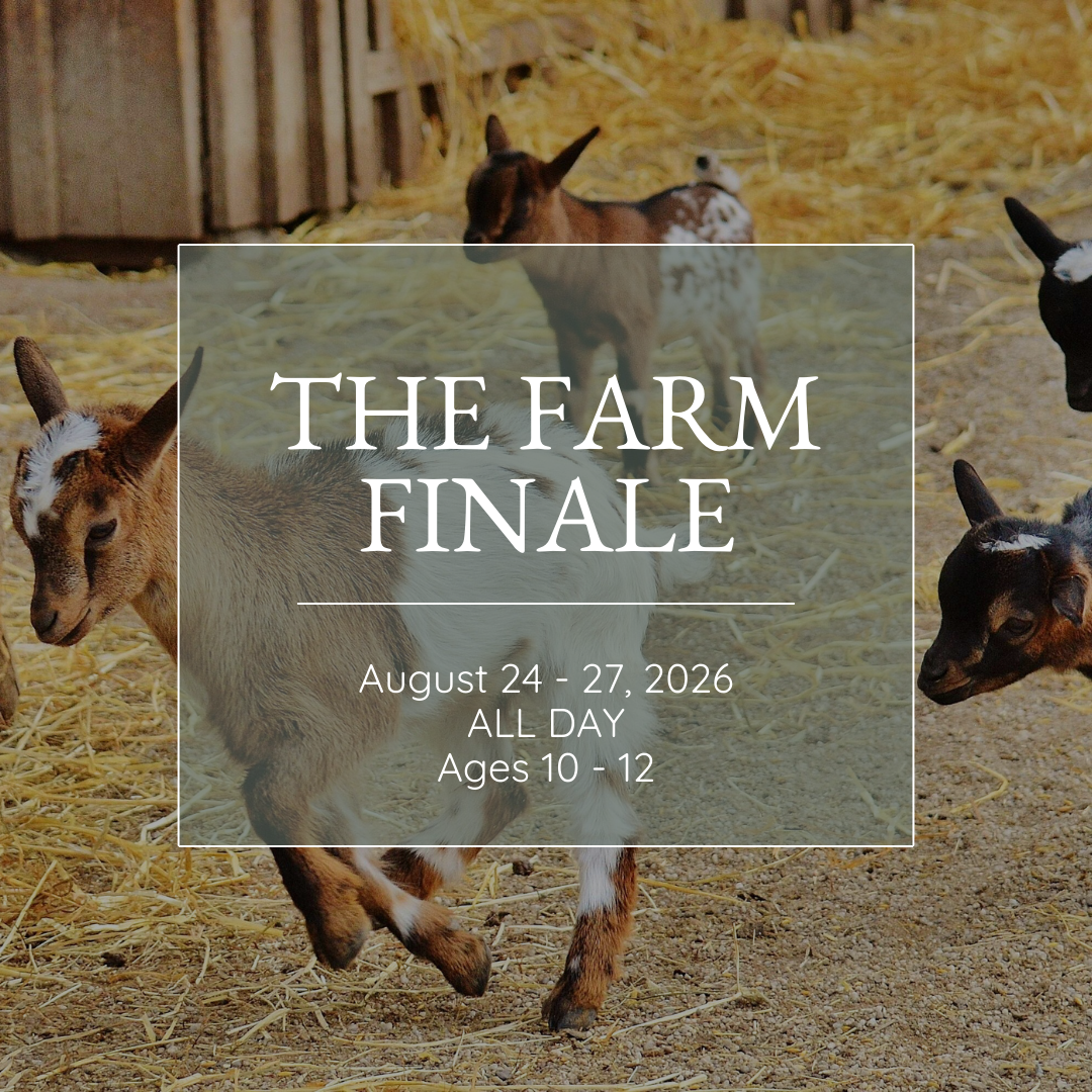 Cultivating: The Farm Finale | August 24-27 | Ages 10-12