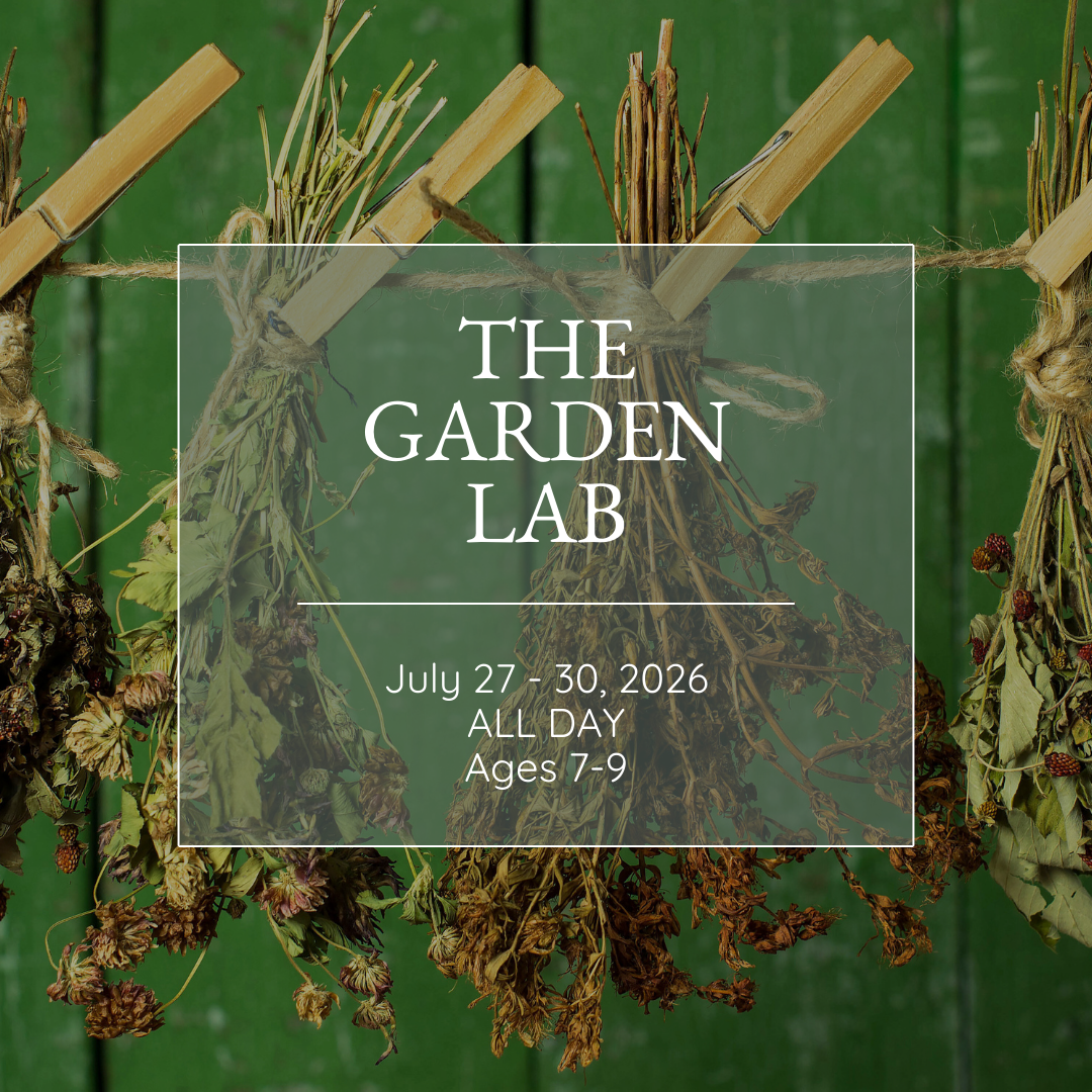 Farm to Table: The Garden Lab | July 27-30 | Ages 7-9