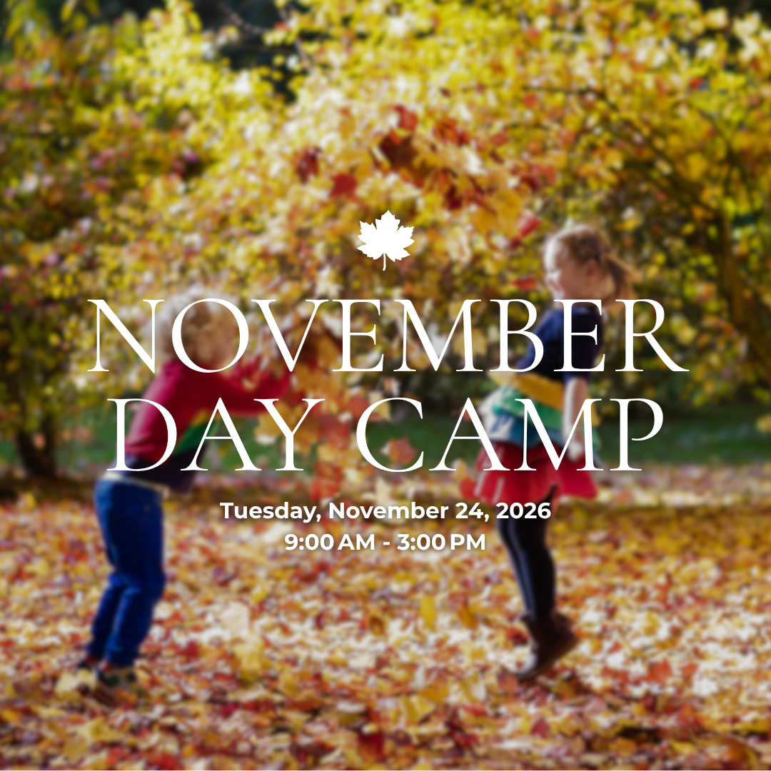 November (1).png