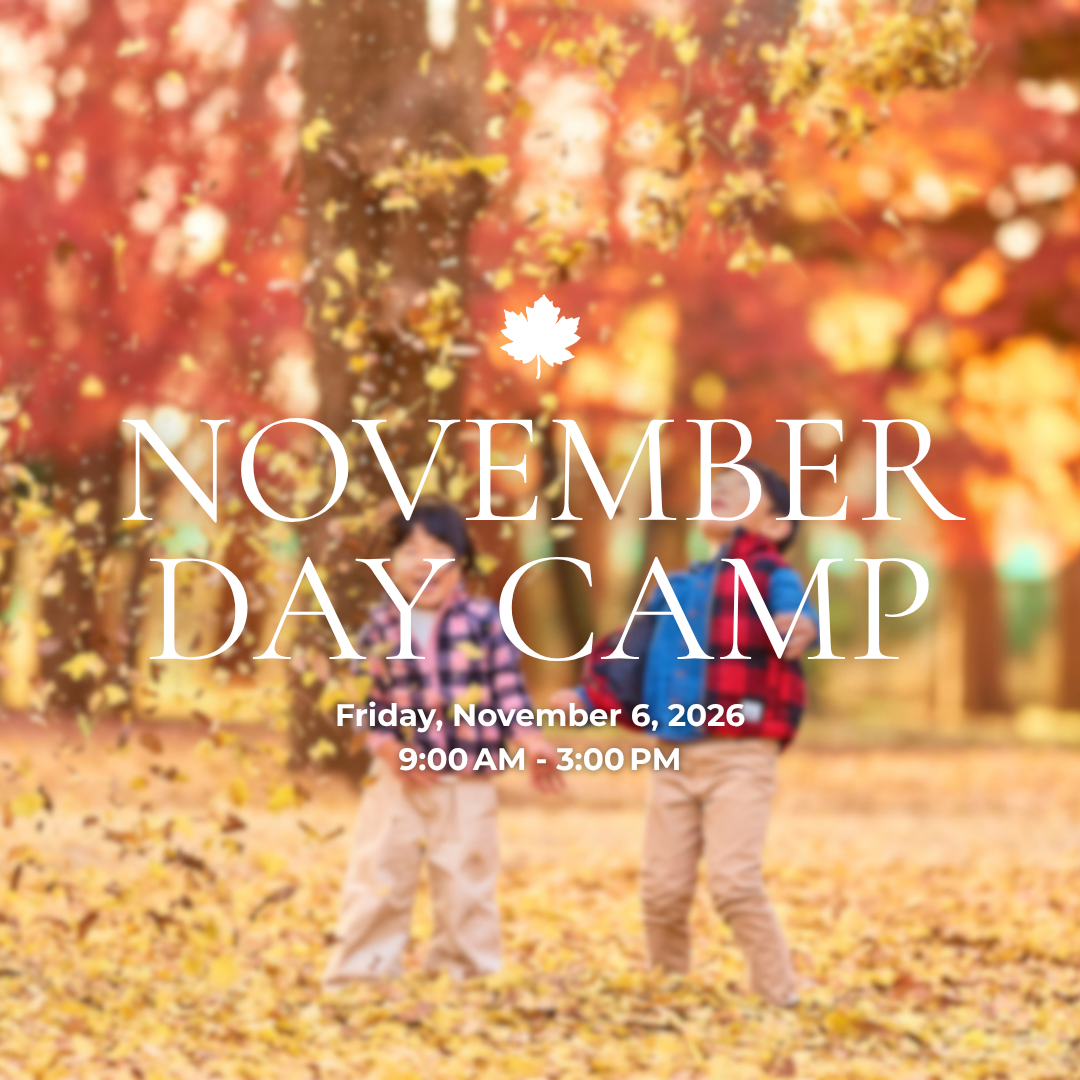 November (2).png