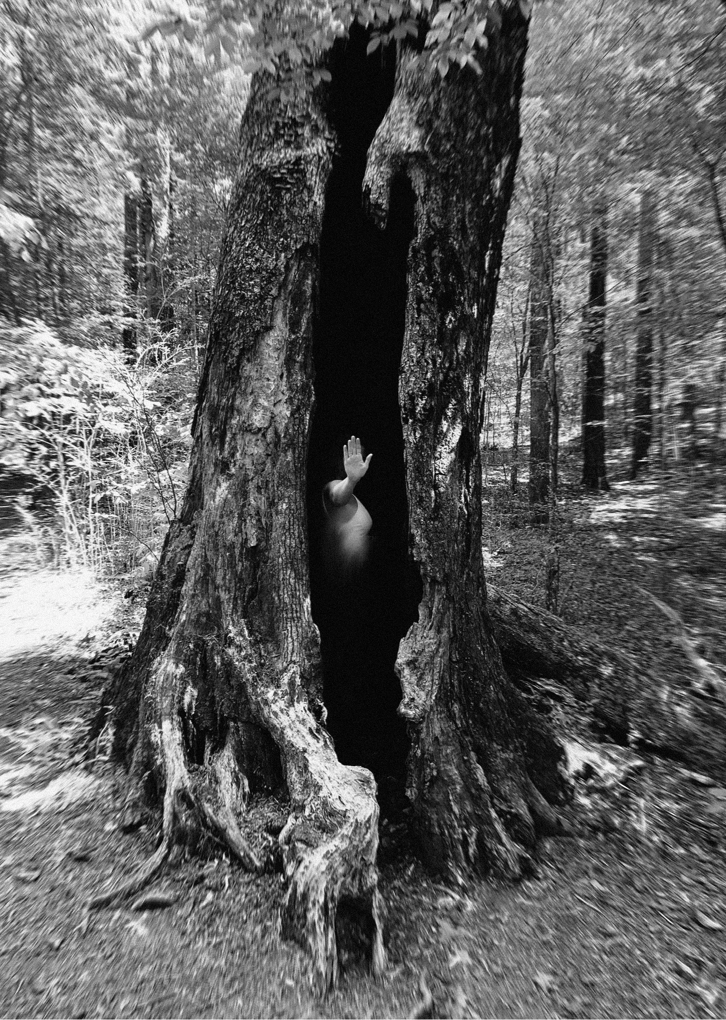 Sometimes isolation is the only way to know ourselves.