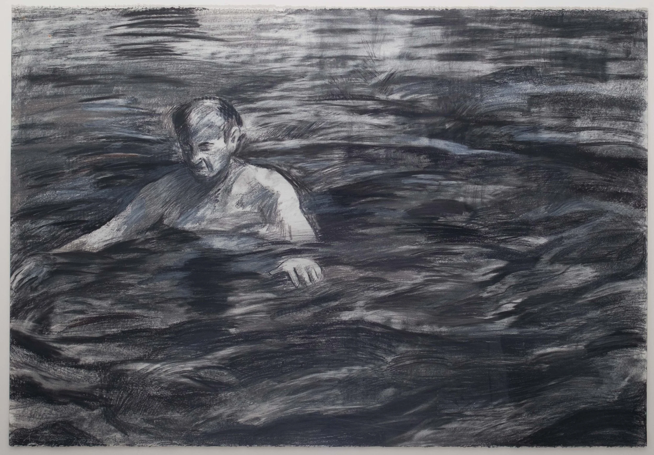 abby lazerow_-Swimming in the Dark _charcoal on paper _29%22 h x 43%22 w copy.jpg