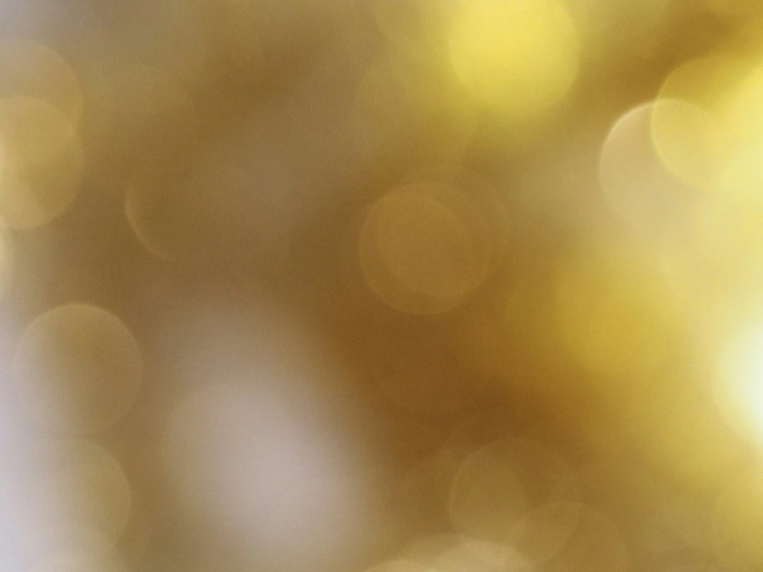 Sparkle Fundraiser | Celebrating 10 Years