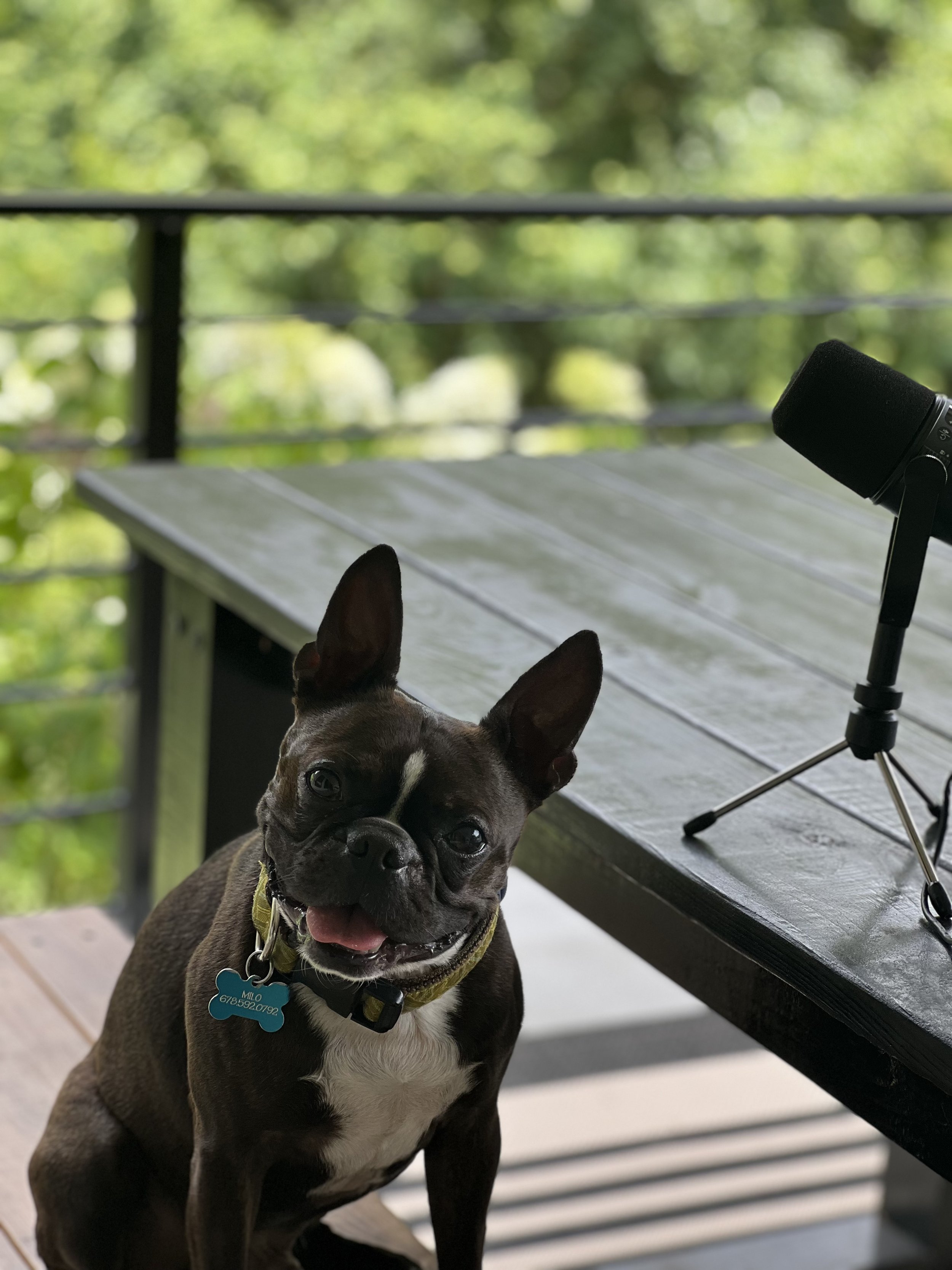 Episode 16: Welp…it’s time to quit our day job and open a brewery in Asheville