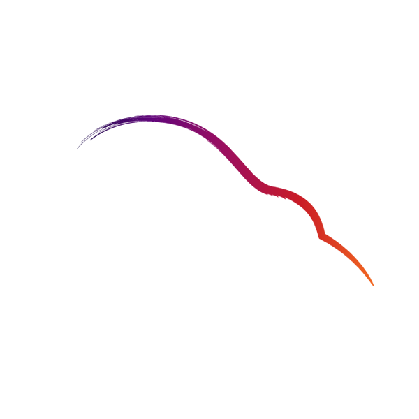 Partner-Logos__SaveTheKiwi-Logo.png
