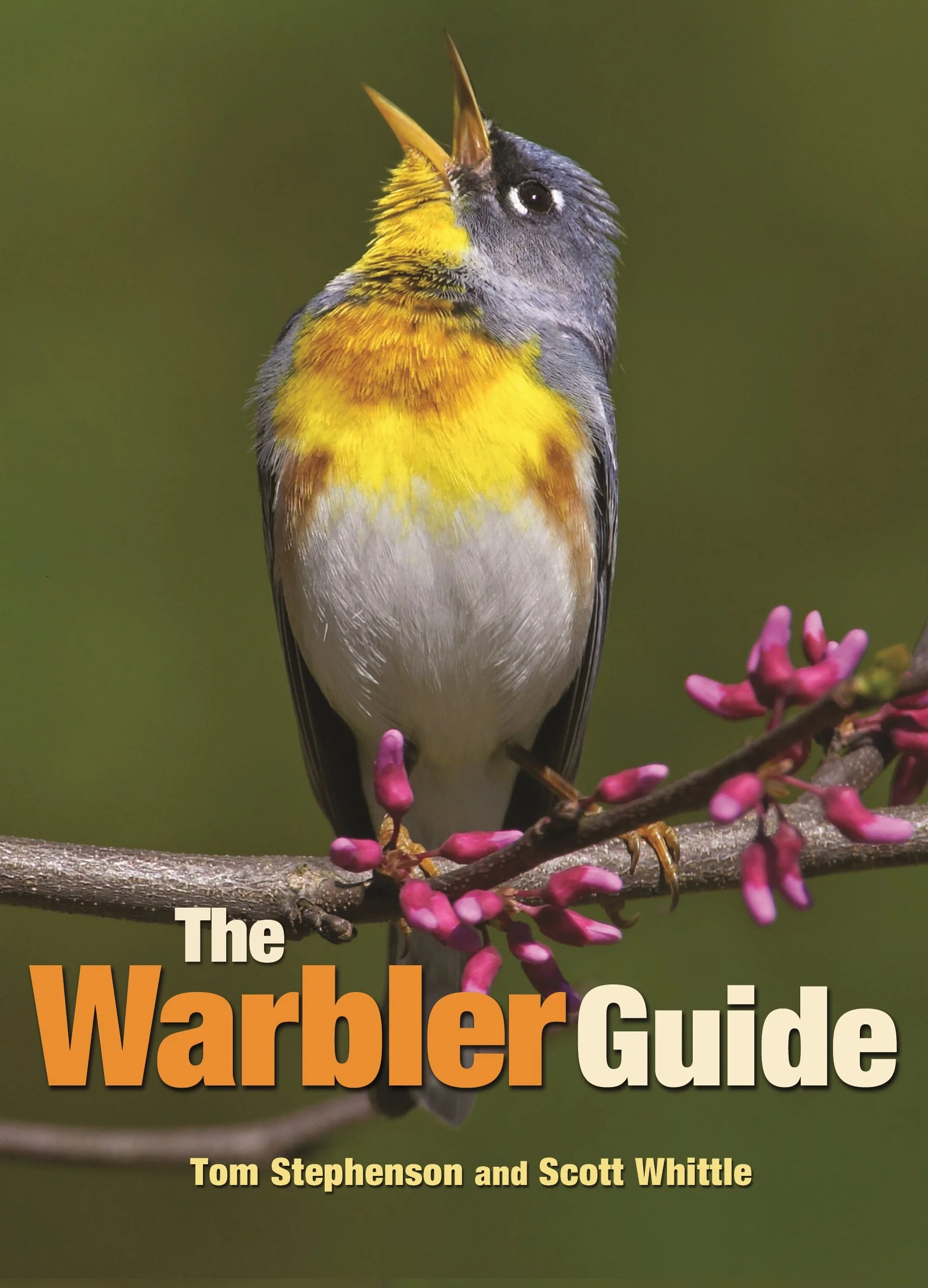 cover of The Warbler Guide by Tom Stephenson and Scott Whittle
