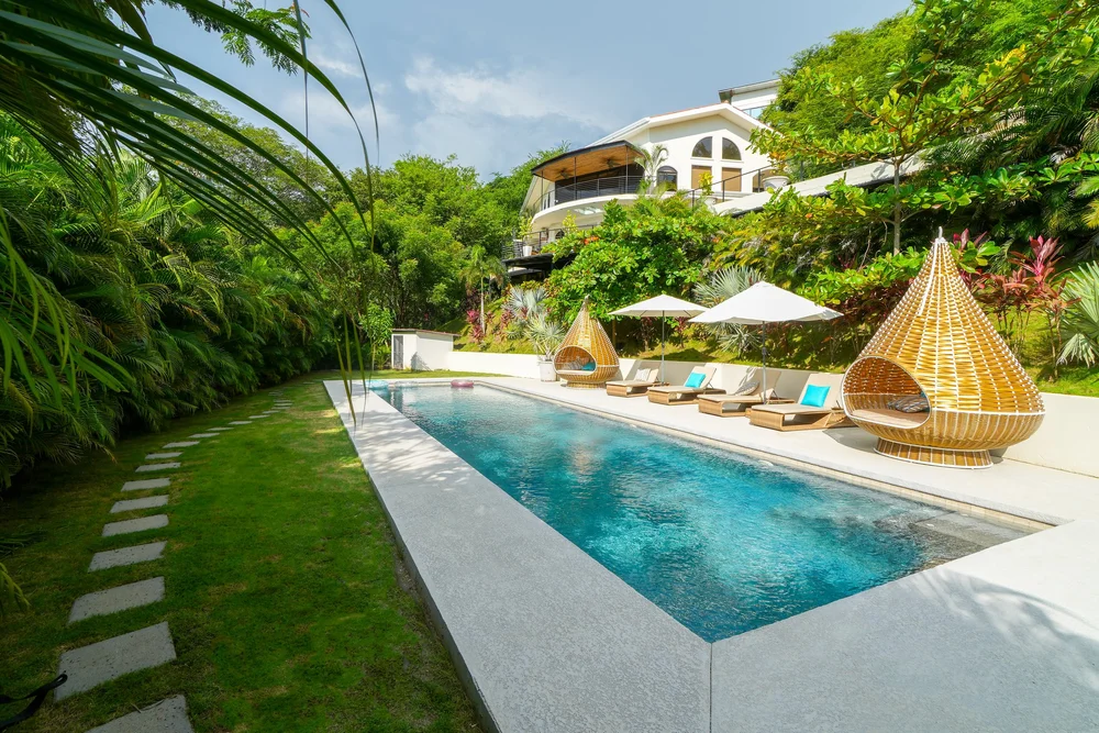 The lap pool in the garden