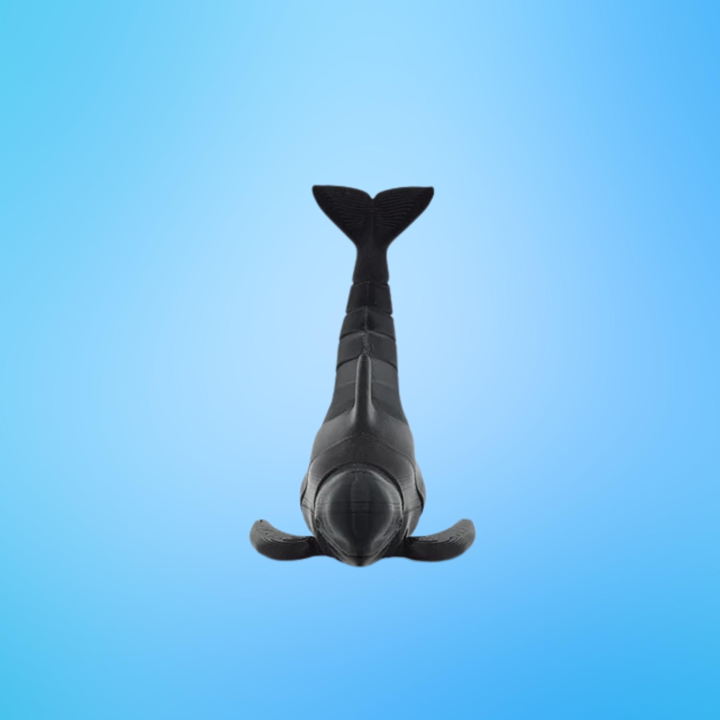 https://i.etsystatic.com/47968505/r/il/888ed3/6488127080/il_fullxfull.6488127080_ajdq.jpg
