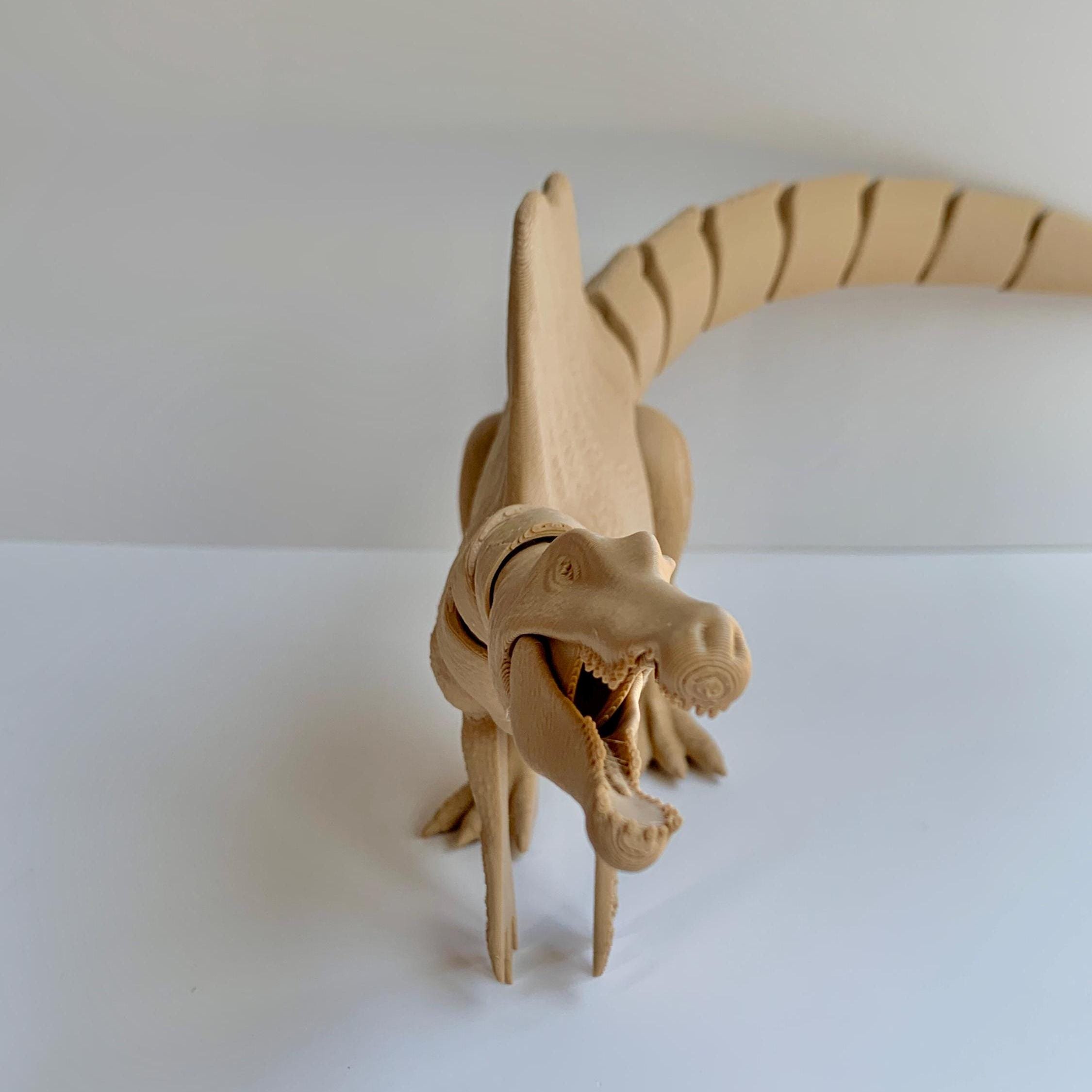 https://i.etsystatic.com/47968505/r/il/eab944/6364150661/il_fullxfull.6364150661_1cm6.jpg
