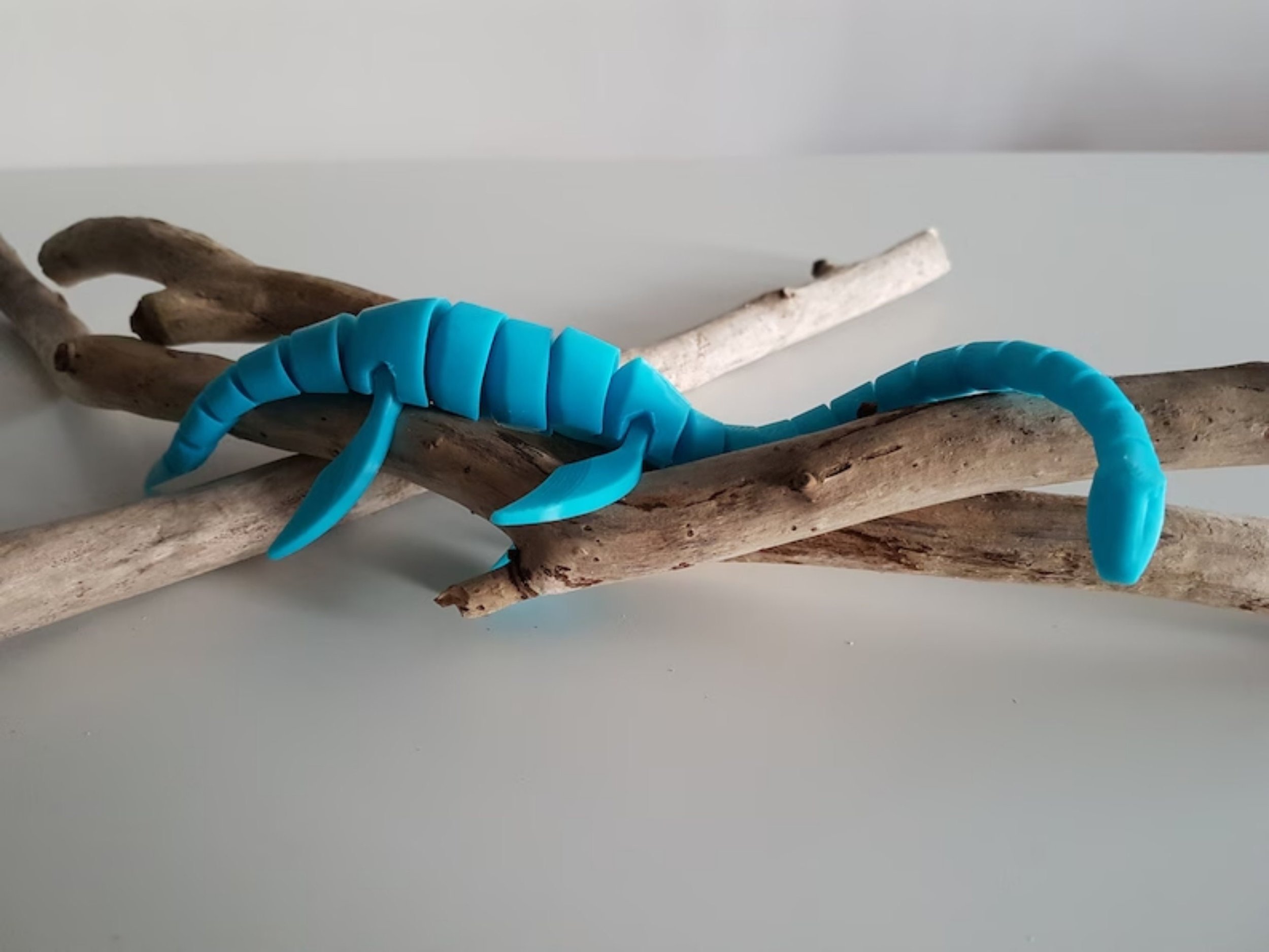 https://i.etsystatic.com/47968505/r/il/54313d/5573479411/il_fullxfull.5573479411_sz8a.jpg