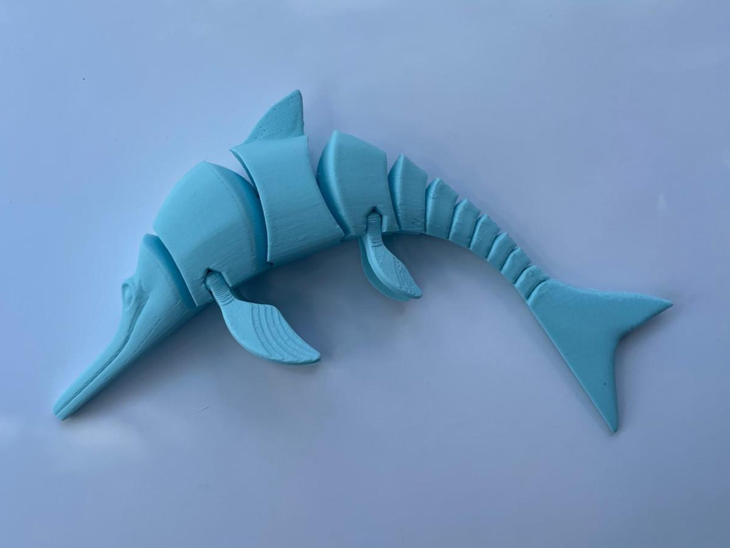 https://i.etsystatic.com/47968505/r/il/e30c50/6059586569/il_fullxfull.6059586569_os4l.jpg