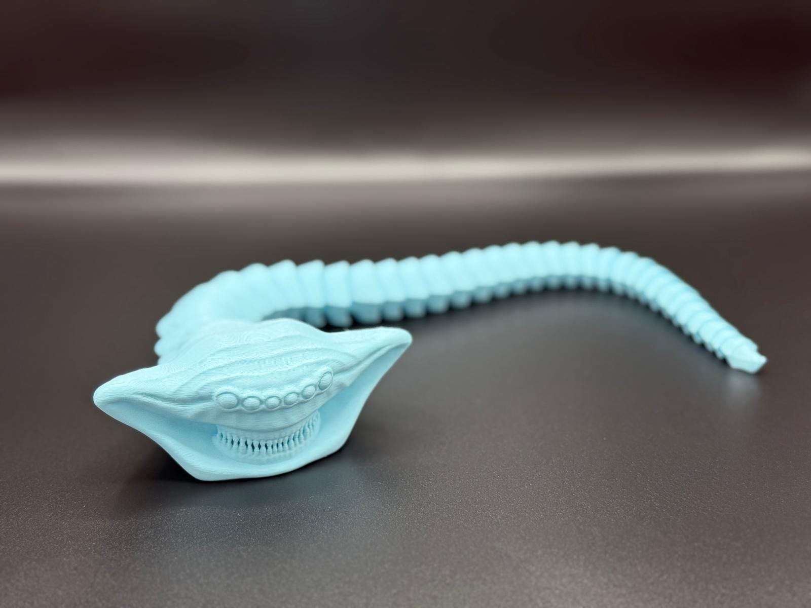 https://i.etsystatic.com/47968505/r/il/272093/6636192103/il_fullxfull.6636192103_sl9k.jpg