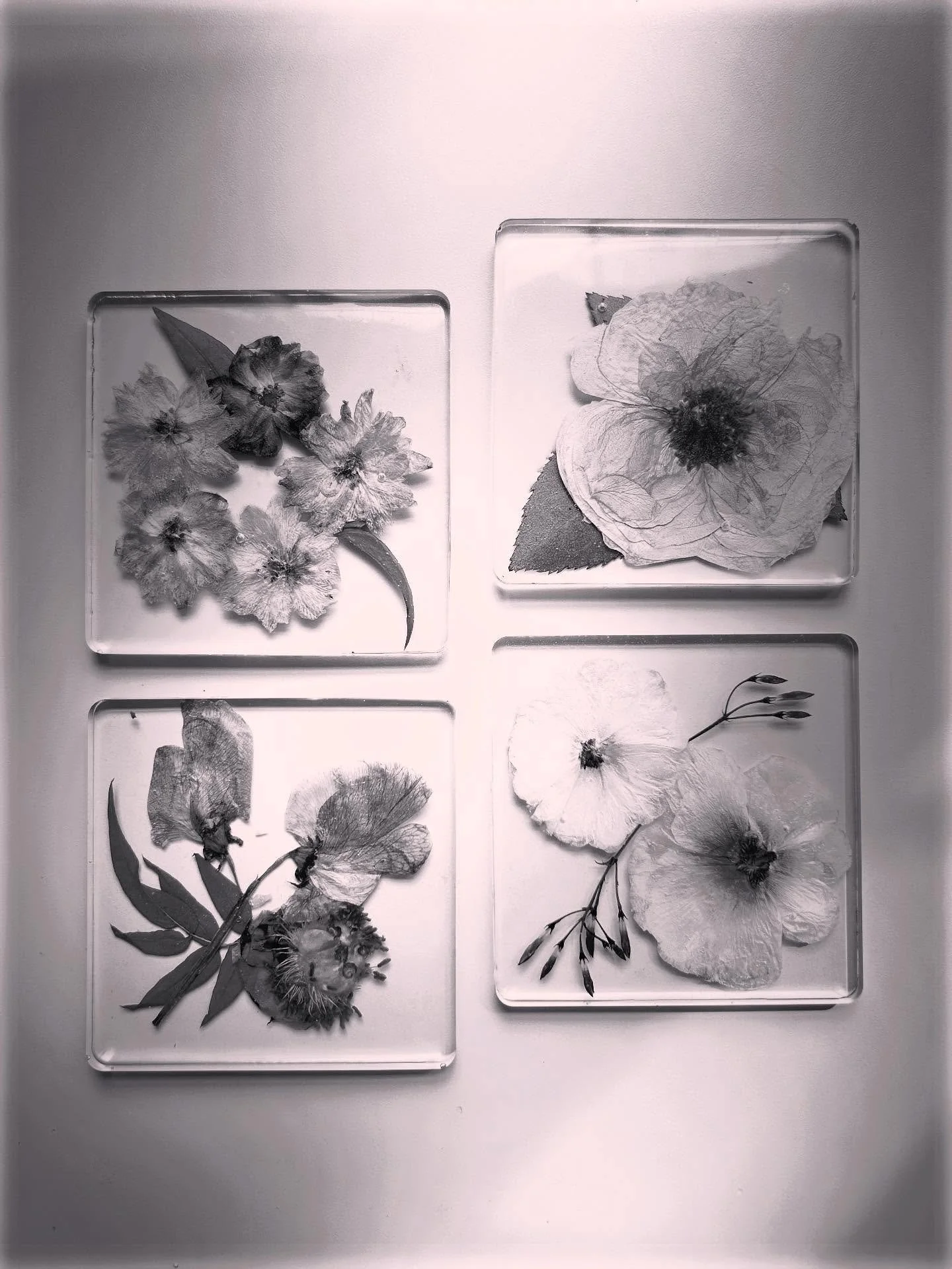 Resin is a thing of the past at Flowressence! *We will no longer be offering resin projects.*

I am excited to leave behind something that is bad for my health to focus on projects that I believe it, 100%. Resin artists are amazing, and I&rsquo;ll le