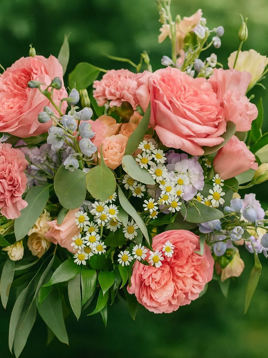 Before ➡️ After
🌺 🌸🌺🌸🌺