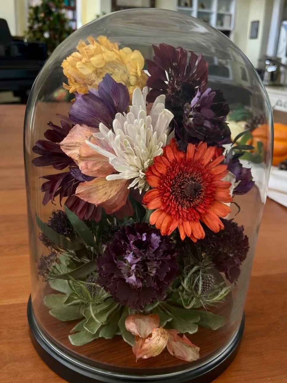 I&rsquo;ve loved experimenting with dome designs lately!  Domes aren&rsquo;t as common in the preservation world, and they come with increased complexity and time commitment to get the layout just right. But they always turn out beautiful! (IMO 🤷🏼&