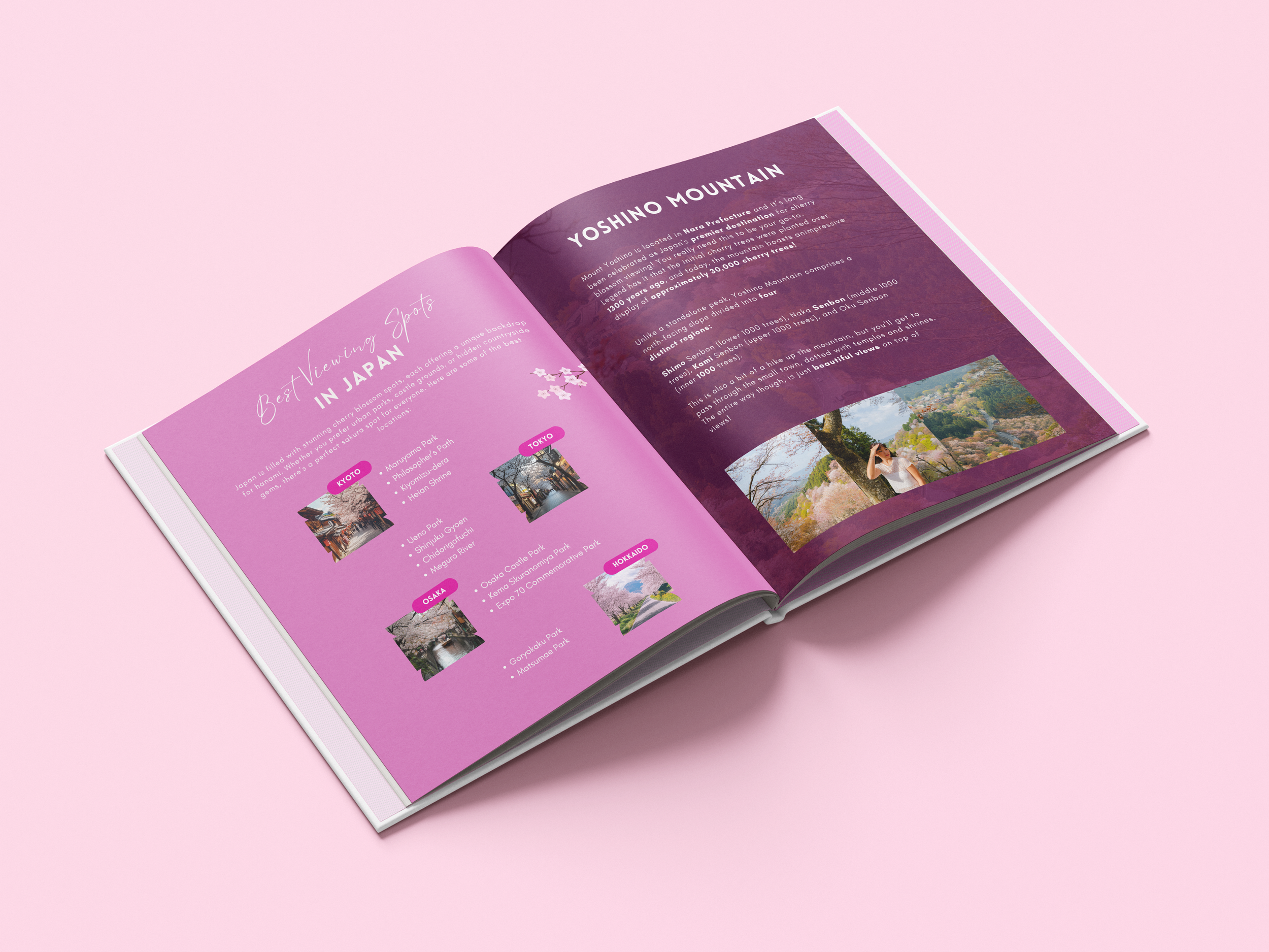 Thin_Book_Hard_Cover_Mockup_5.png