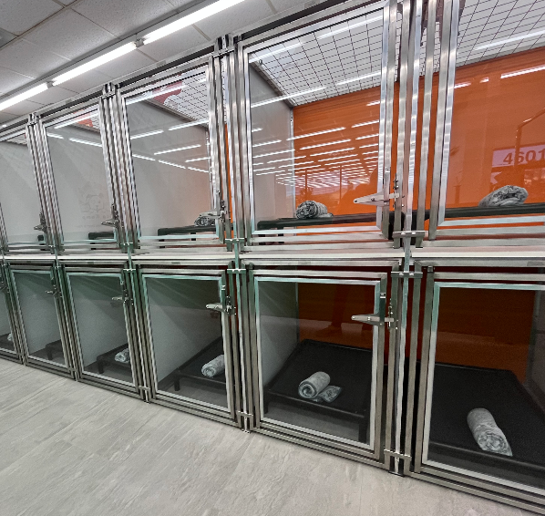 Is dog boarding stressful for dogs - what every pet parent should know