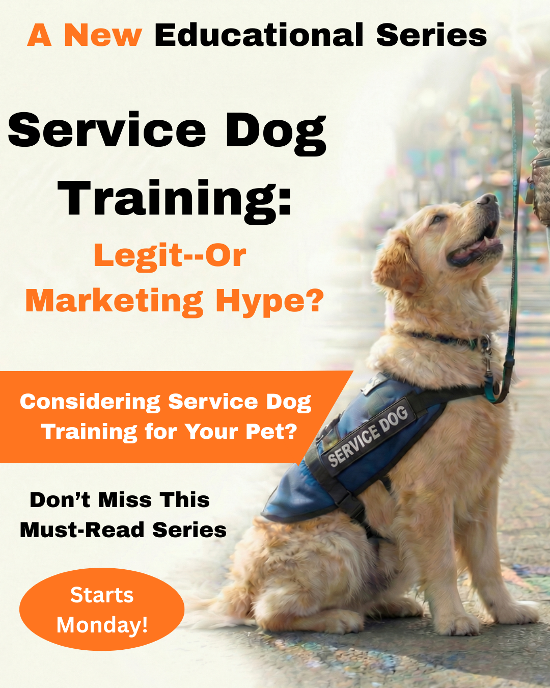 Service Dog Training: Legit—or Marketing Hype? 