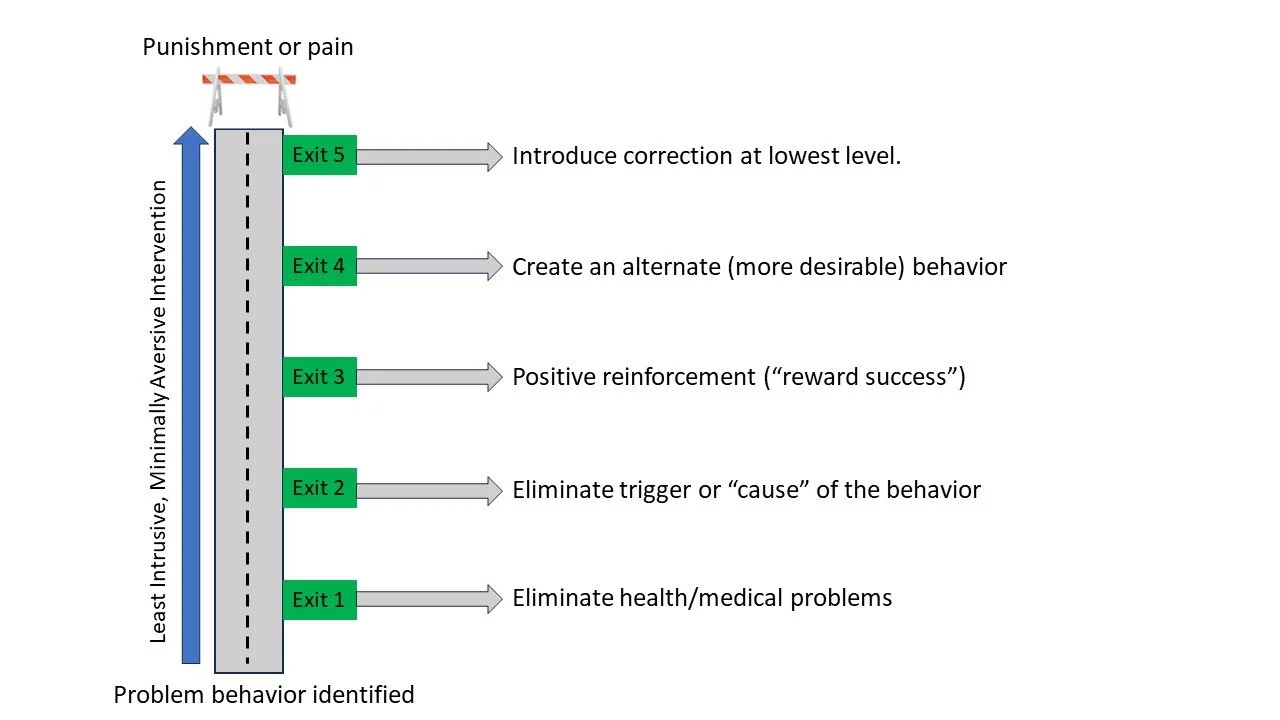 Dog Training & Behavior Modification — BratPak Dog Kamp