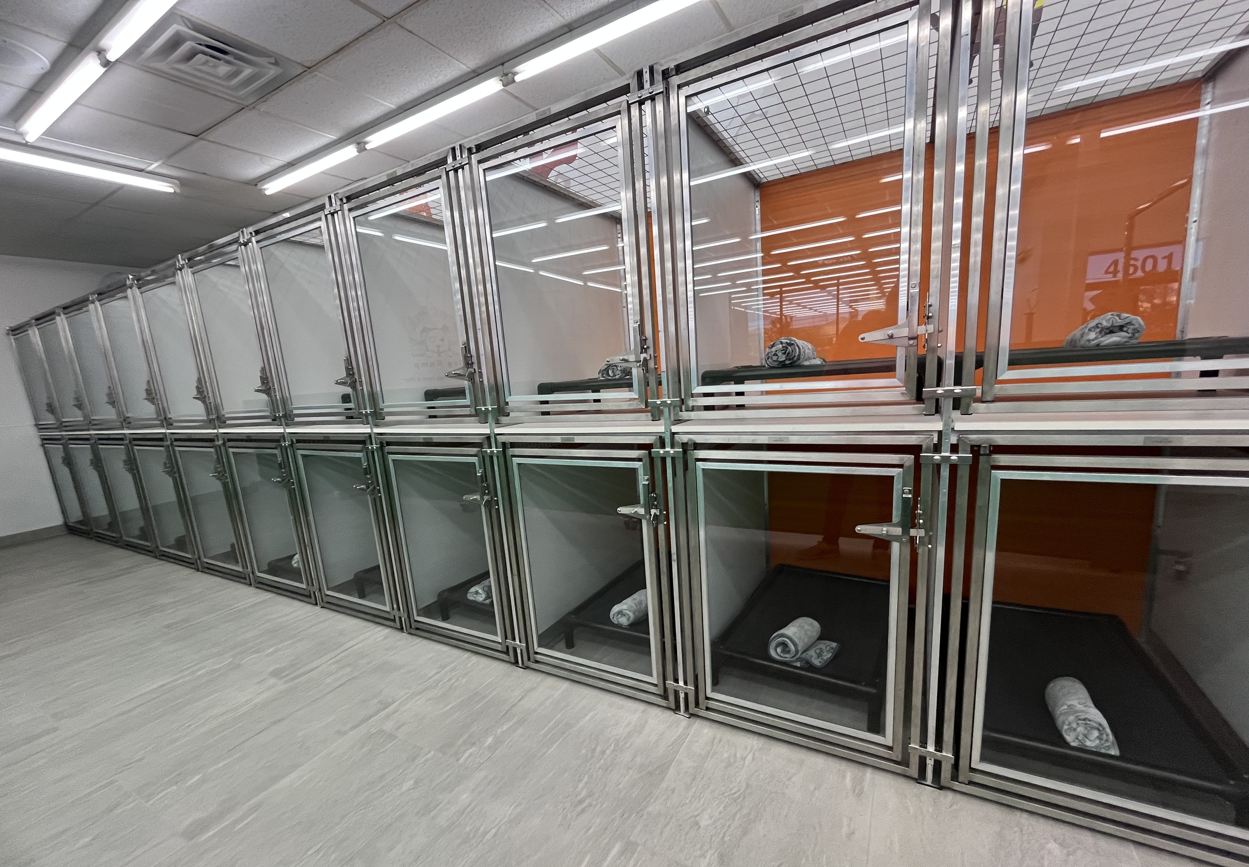 comfortable dog boarding rooms in henderson nv