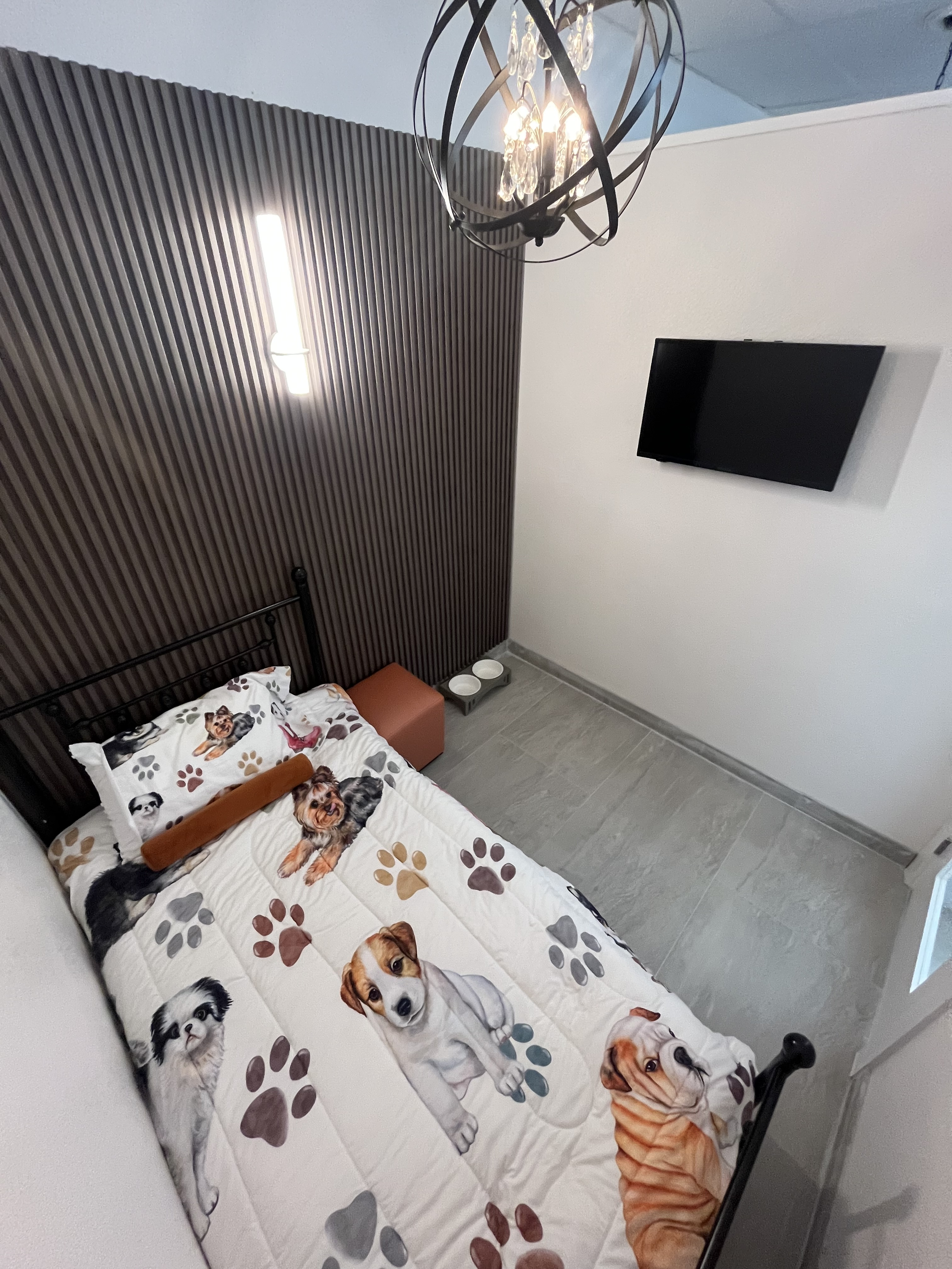 luxury dog boarding in henderson