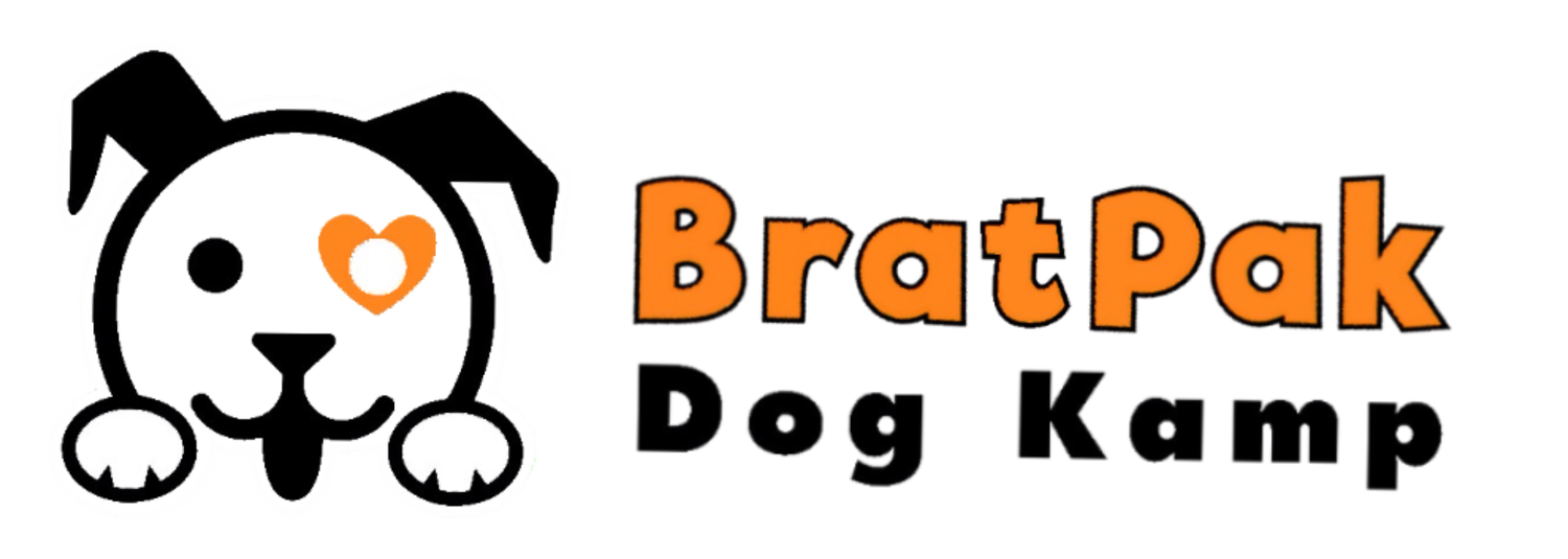 BratPak Dog Kamp