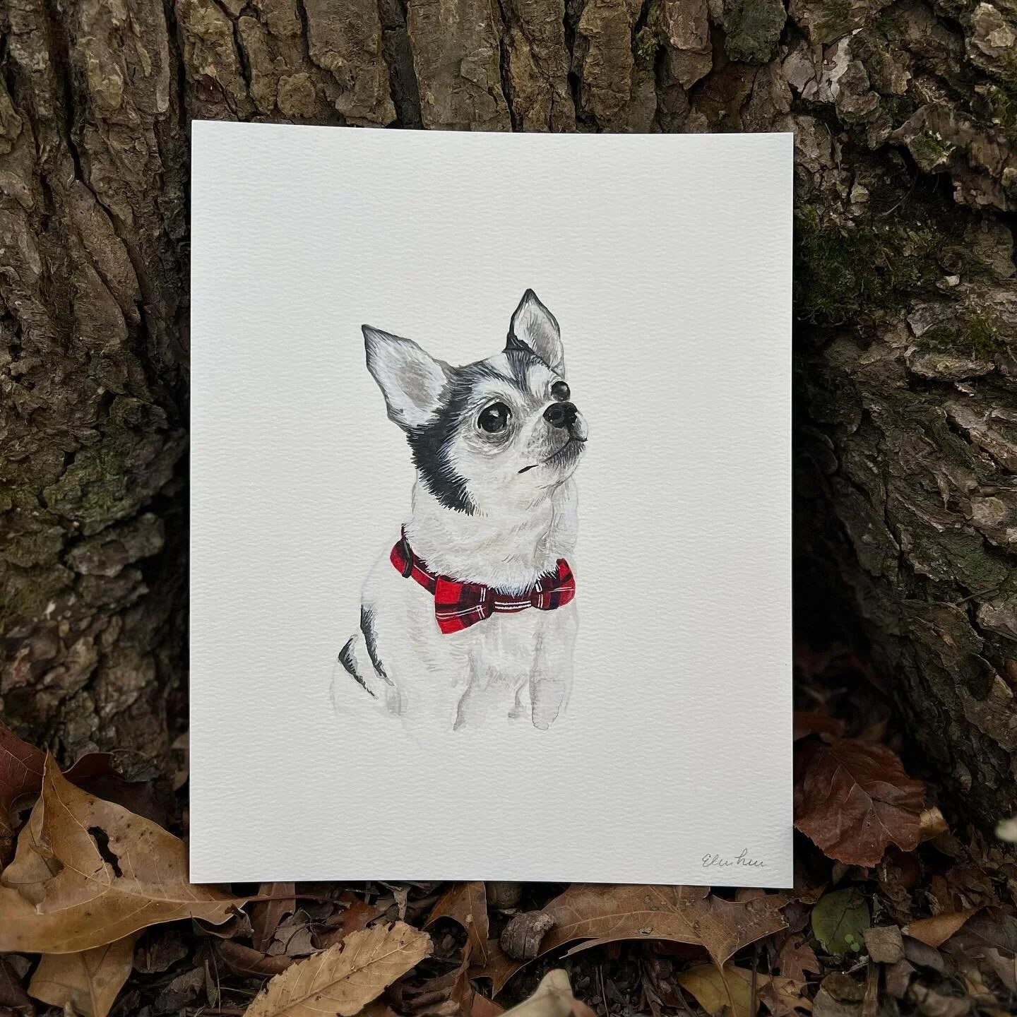 Starting off filling the grid with the sweetest boy. 💕 

#illustration #artprint #petportrait #nashvilleartist #trinketmamastudio #gouache