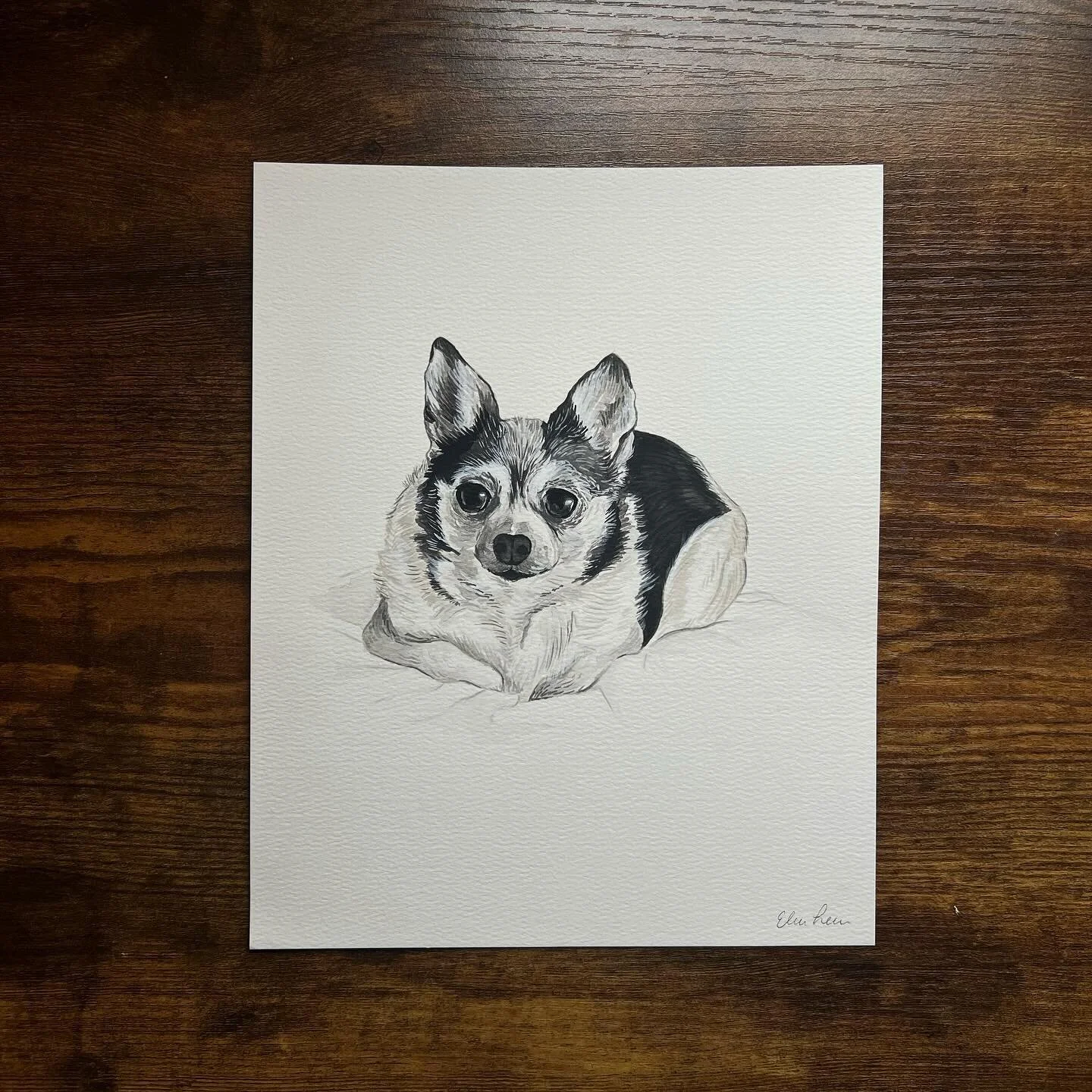 Ending the week with another pet portrait 🐾 Thanks to everyone for your love and support with the launch of my website! 

#illustration #artprint #fairview #nashvilleartist #trinketmamastudio #gouache #gouacheillustration #petportrait #workingmom #s