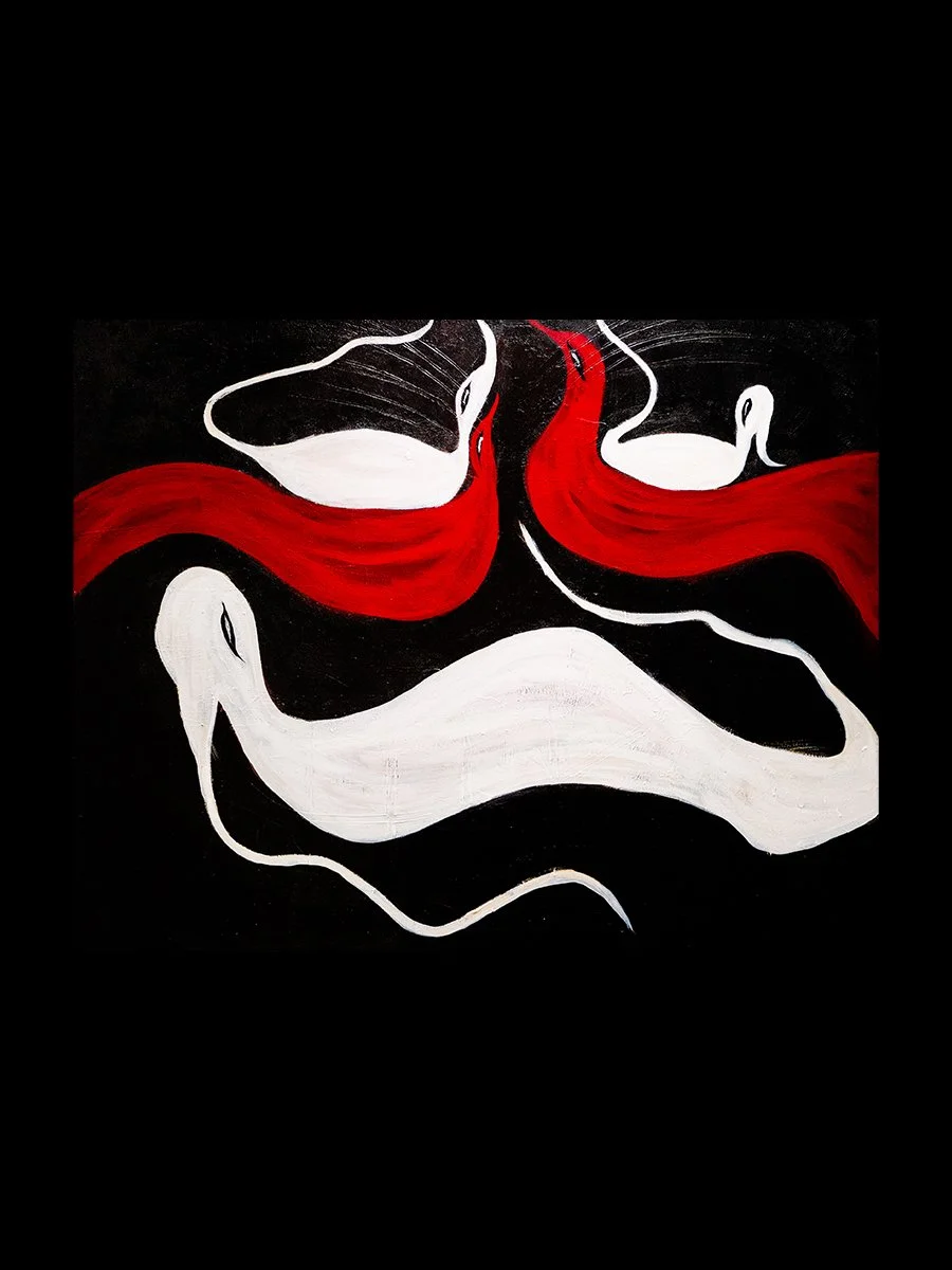 the belly of a swan.jpg