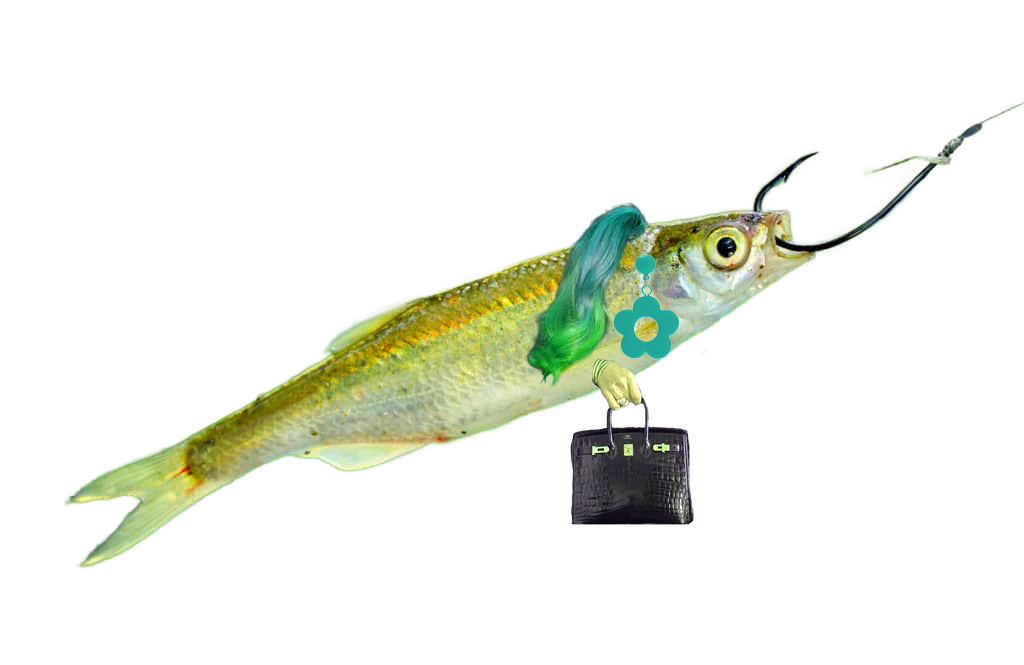 The Question of Home: an interview with Shubha Sunder, author of Optional Practical Training