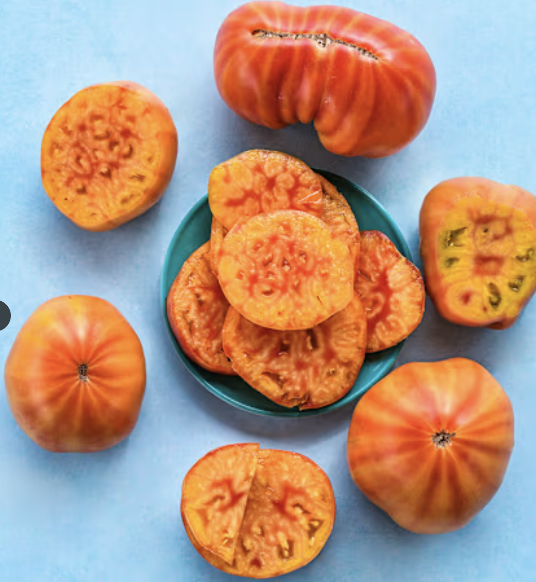 Screenshot 2026-04-19 at 2.54.24 PM.png