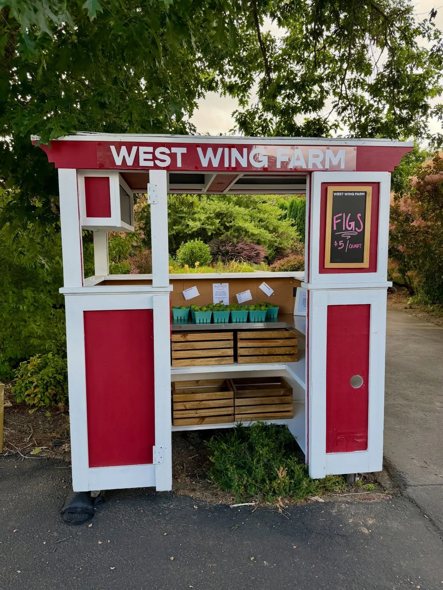 🌿 Green Figs Are Here! 💚

Our first crop of beautiful, tree-ripened green figs with sweet pink centers is now available at the West Wing Farm Stand!

These figs are sweet, soft, and ready to eat. They would be perfect with cheese, on yogurt, in sal