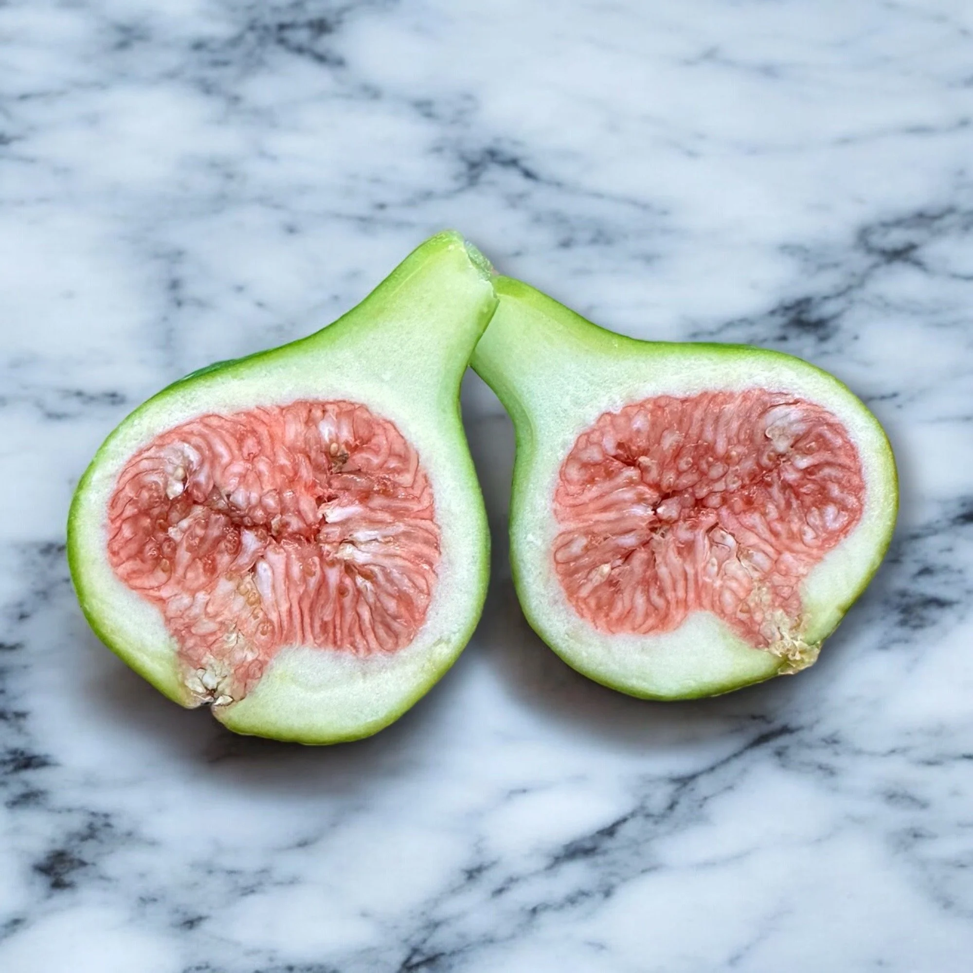 fig.jpg