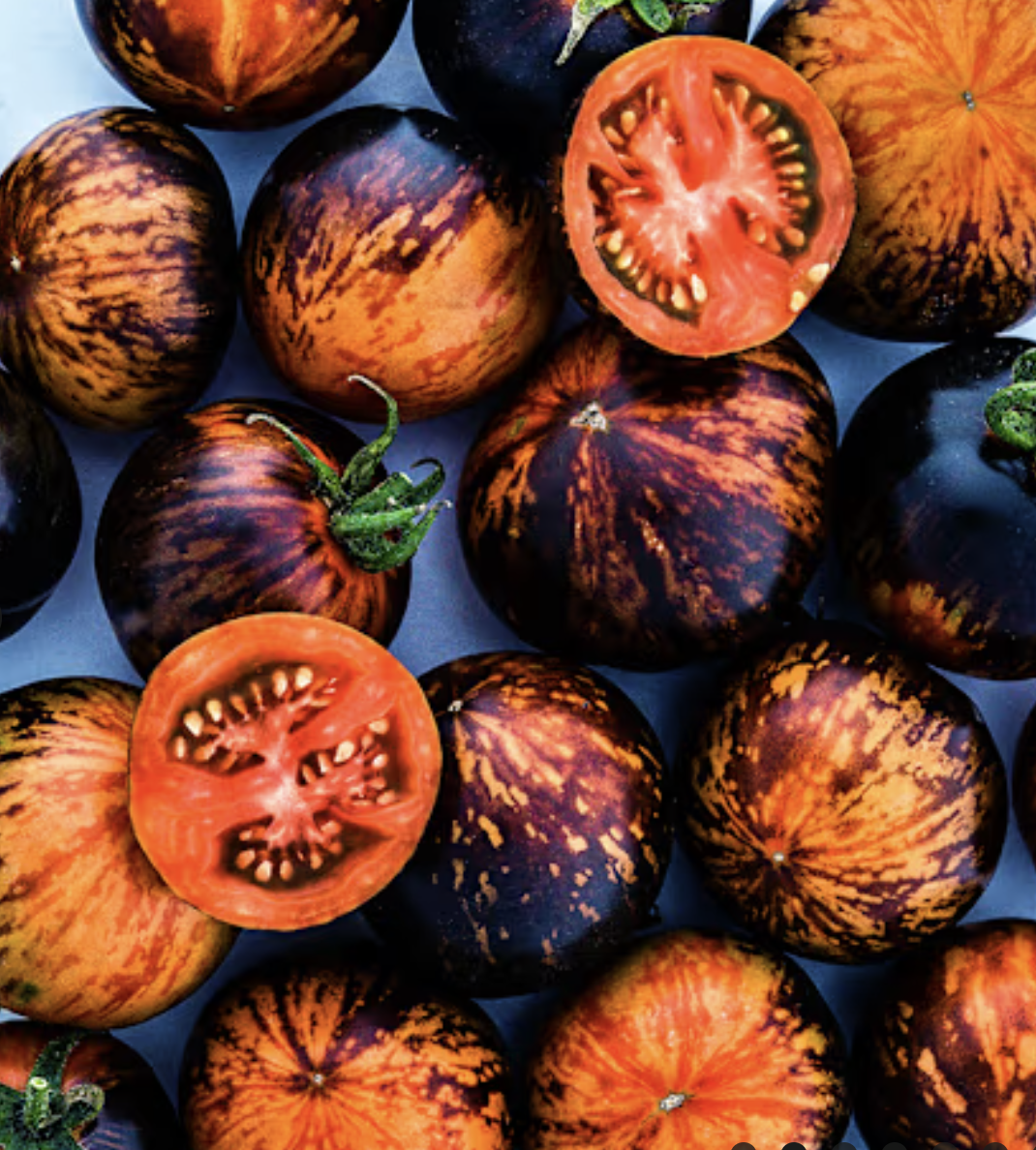 Screenshot 2026-04-19 at 3.05.08 PM.png