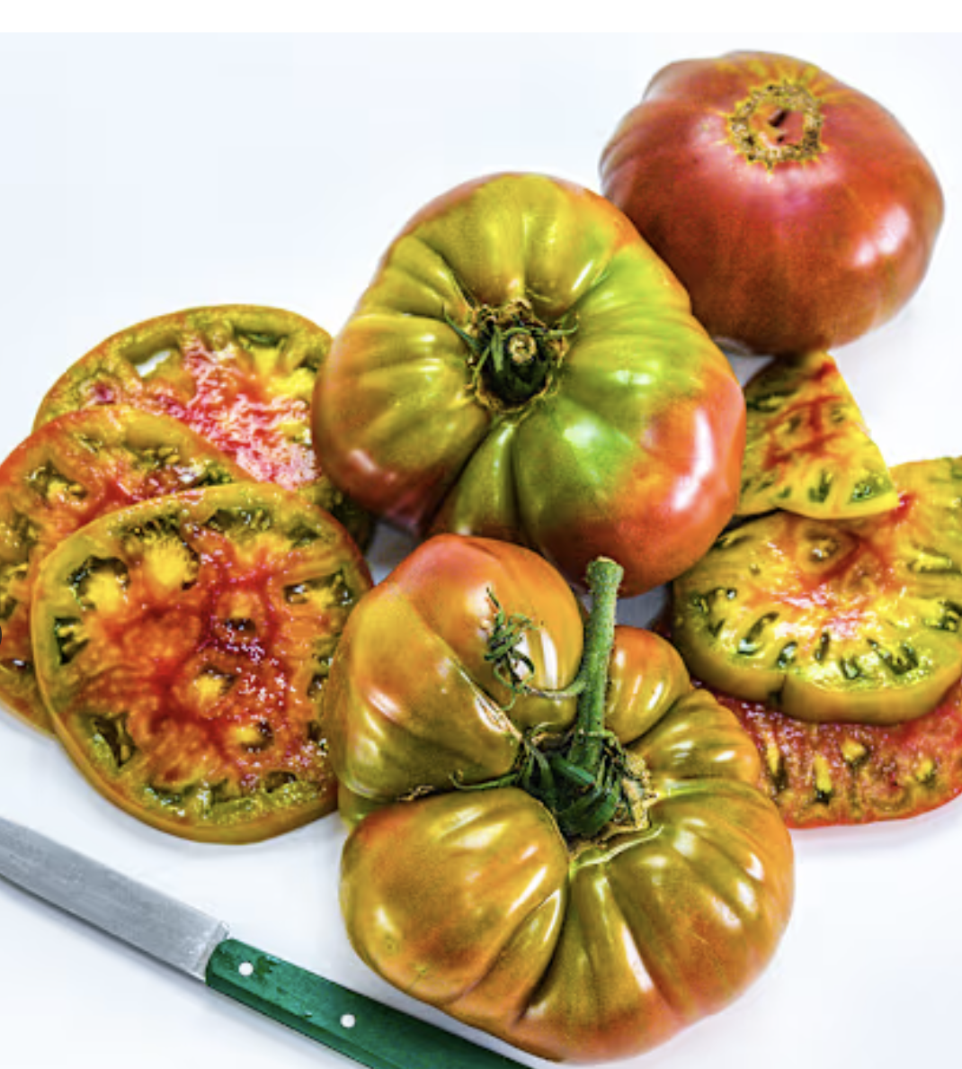 Screenshot 2026-04-19 at 3.02.36 PM.png