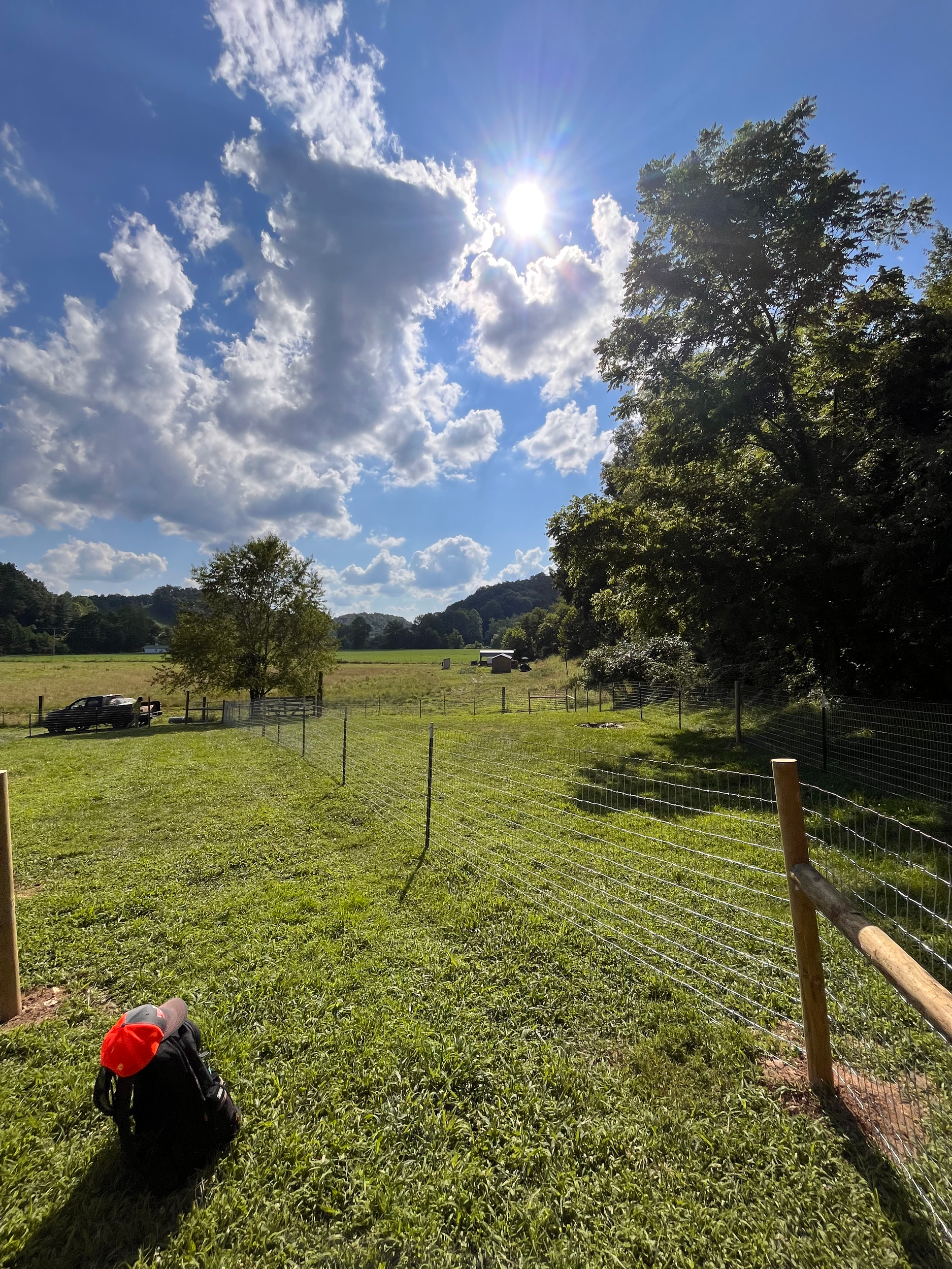 woven wire livestock fence