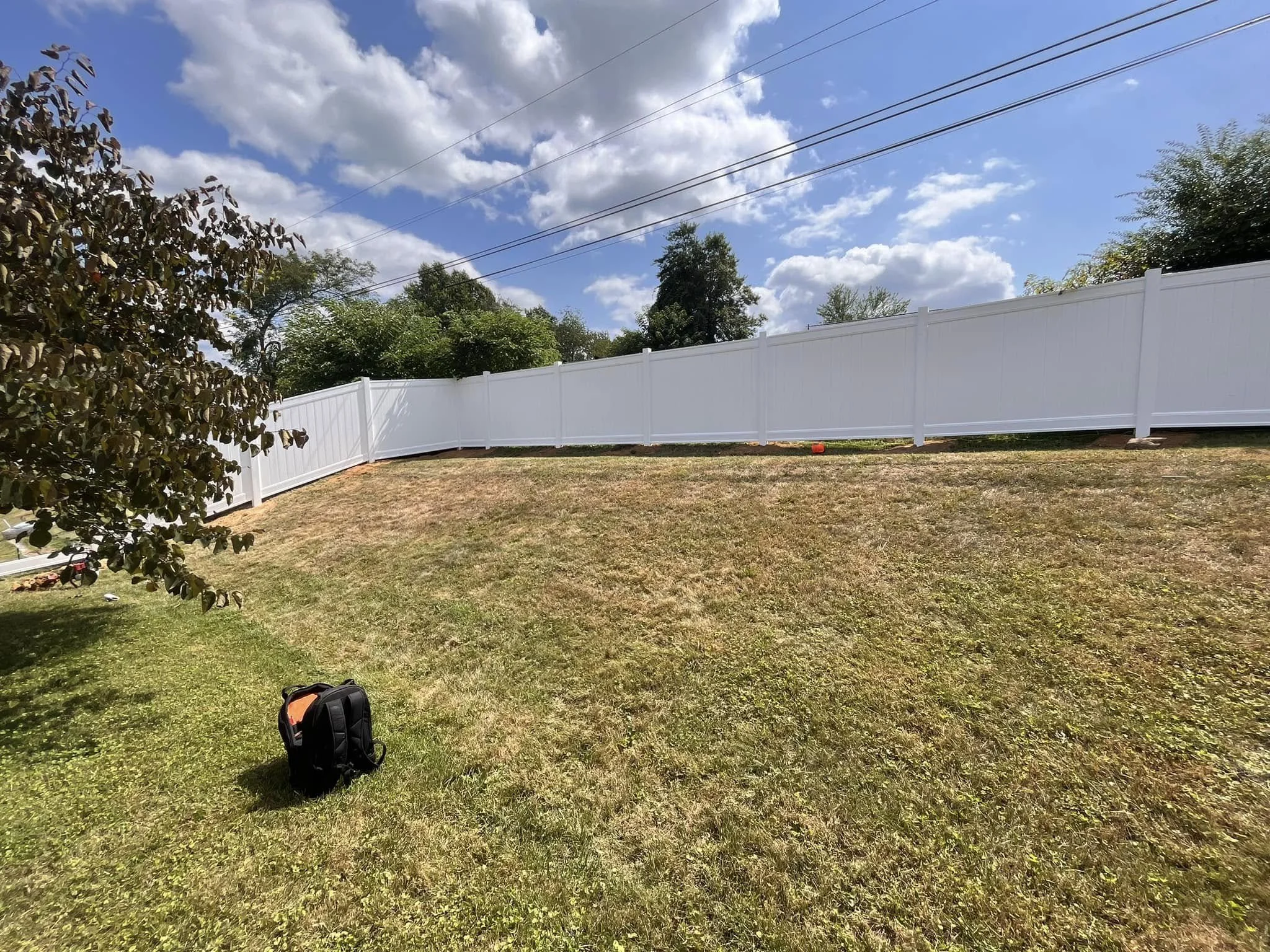 vinyl fence in backyard