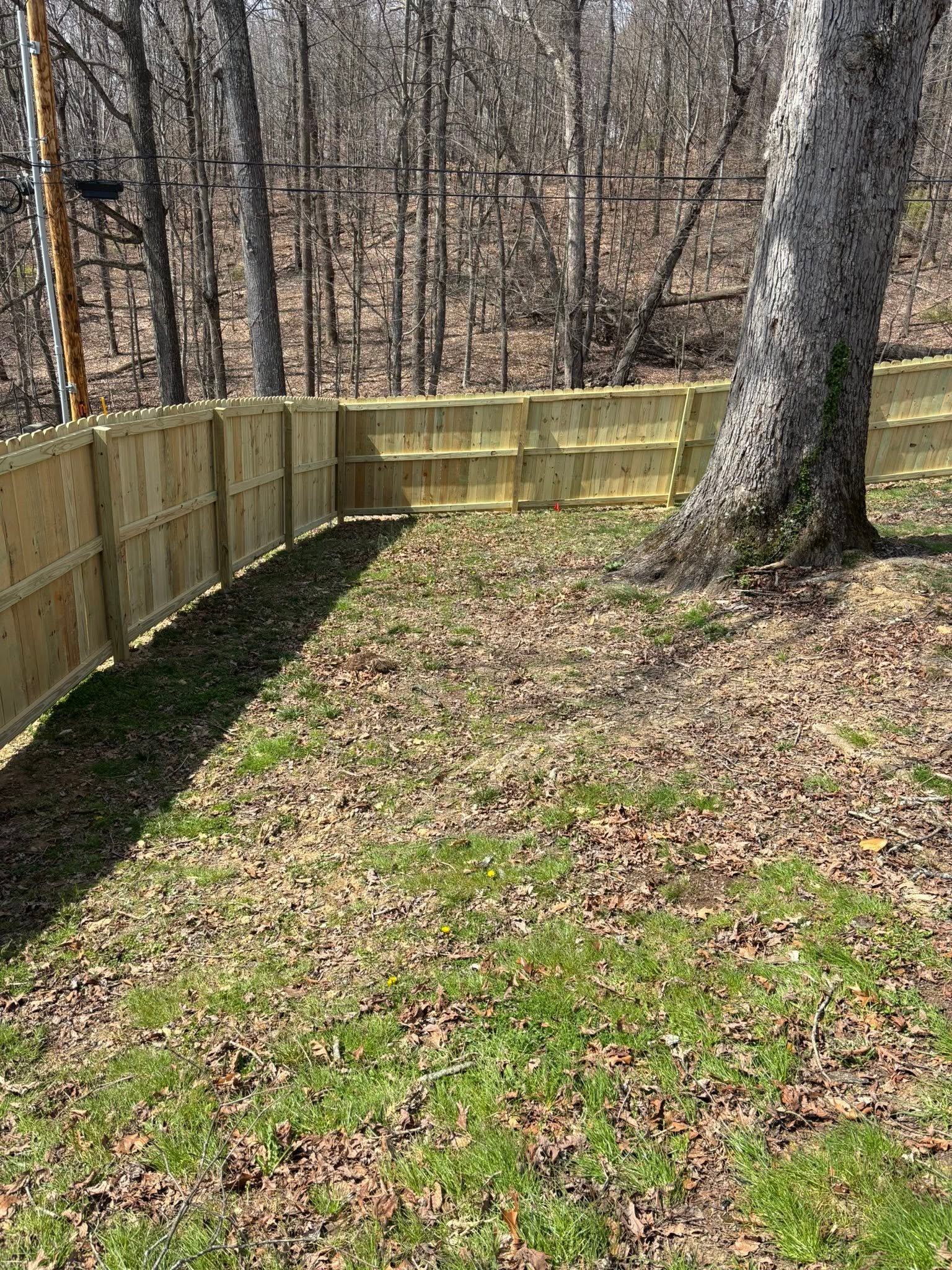 wooden privacy fence